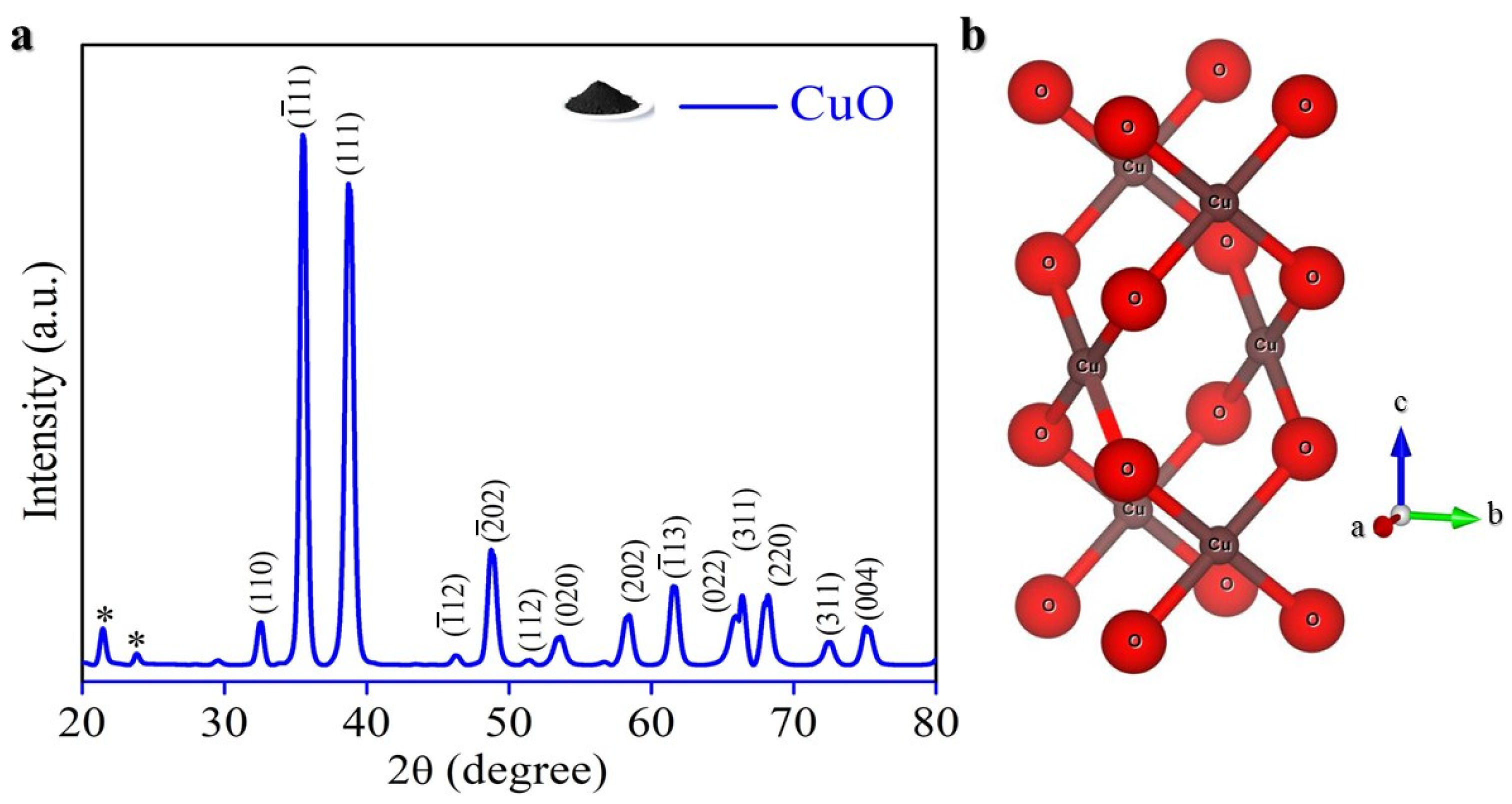 Molecules 29 04114 g002