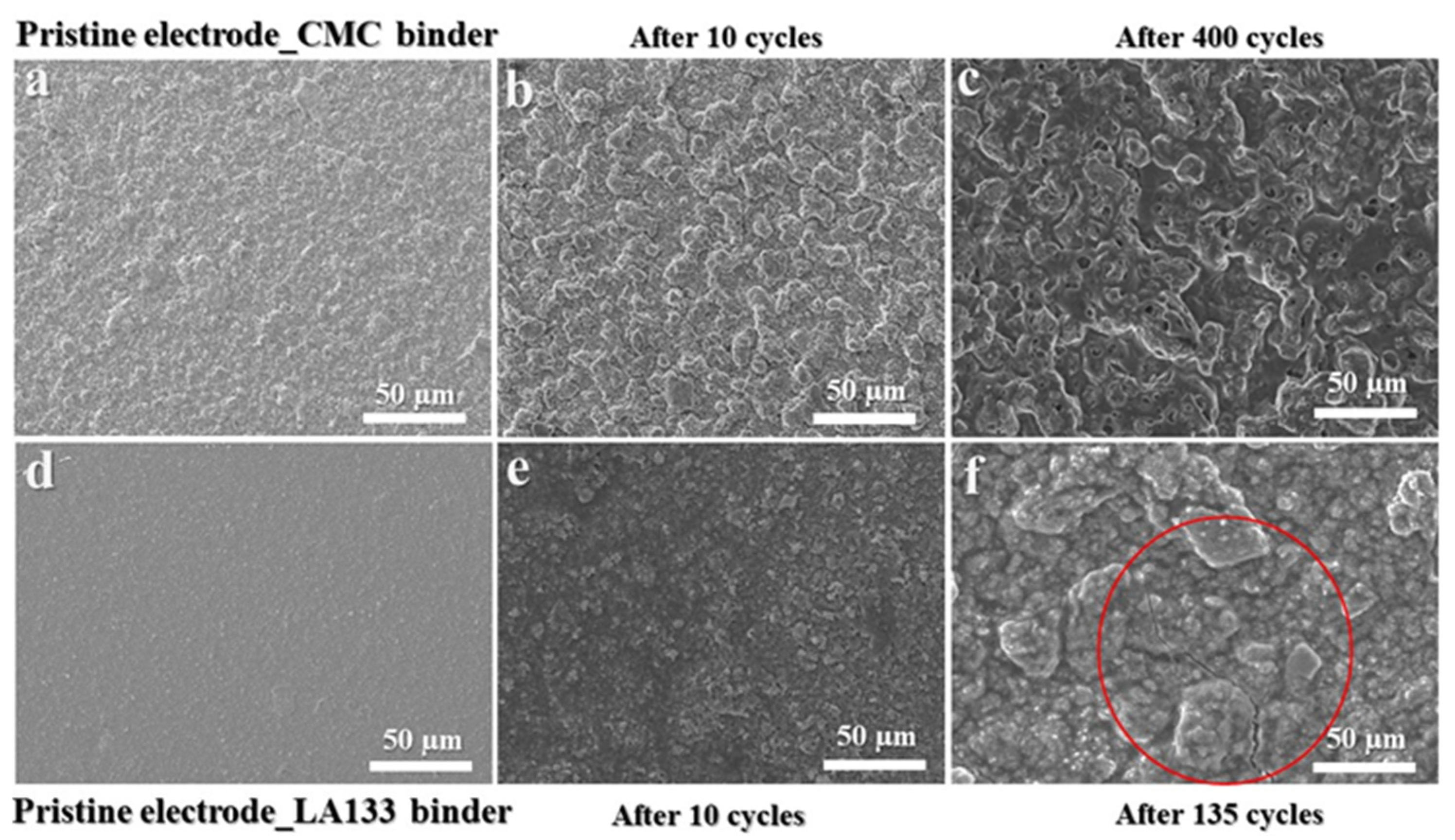 Molecules 29 04114 g009
