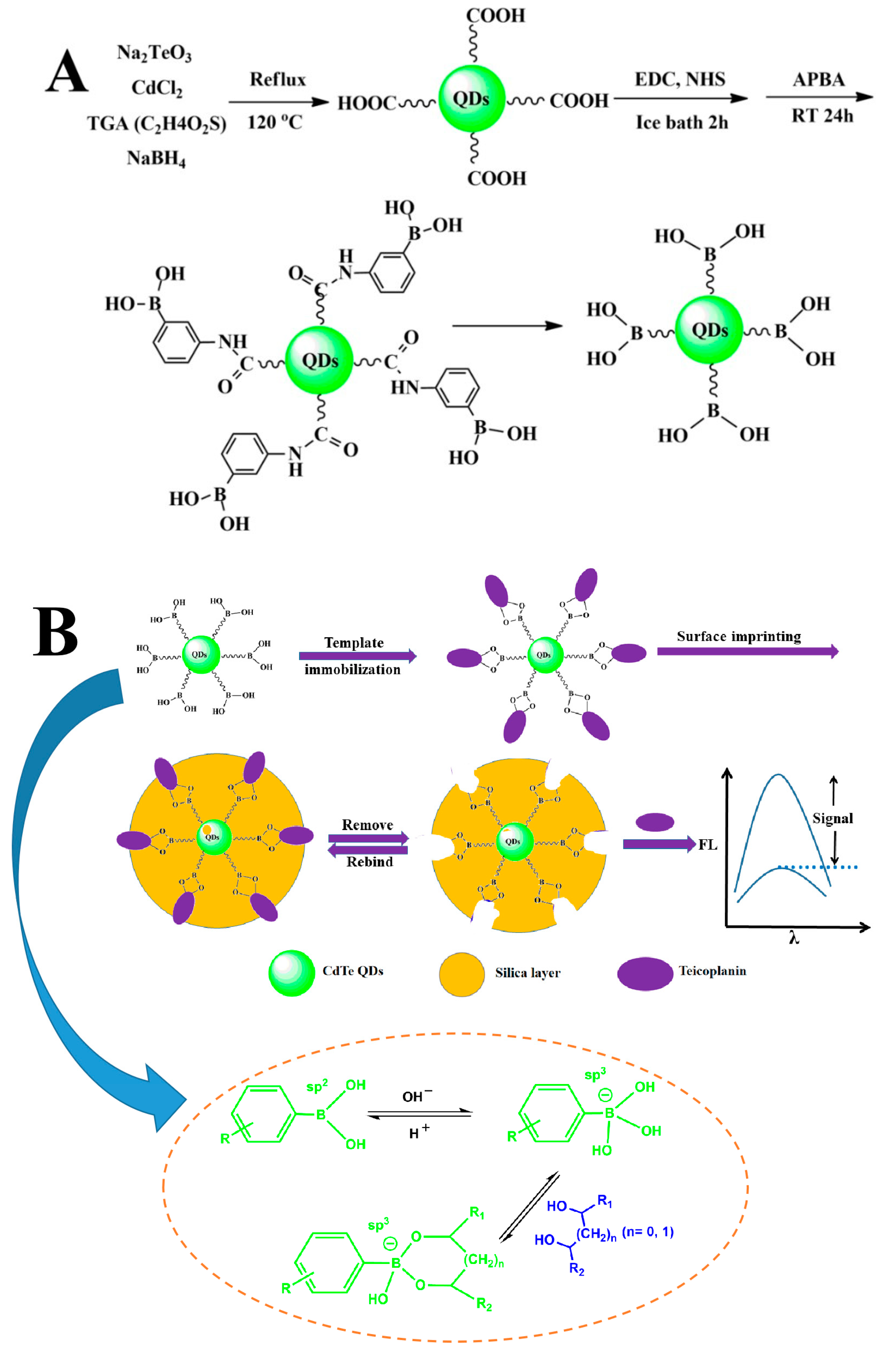 Molecules 29 04115 g002 Molecules 29 04115 g002