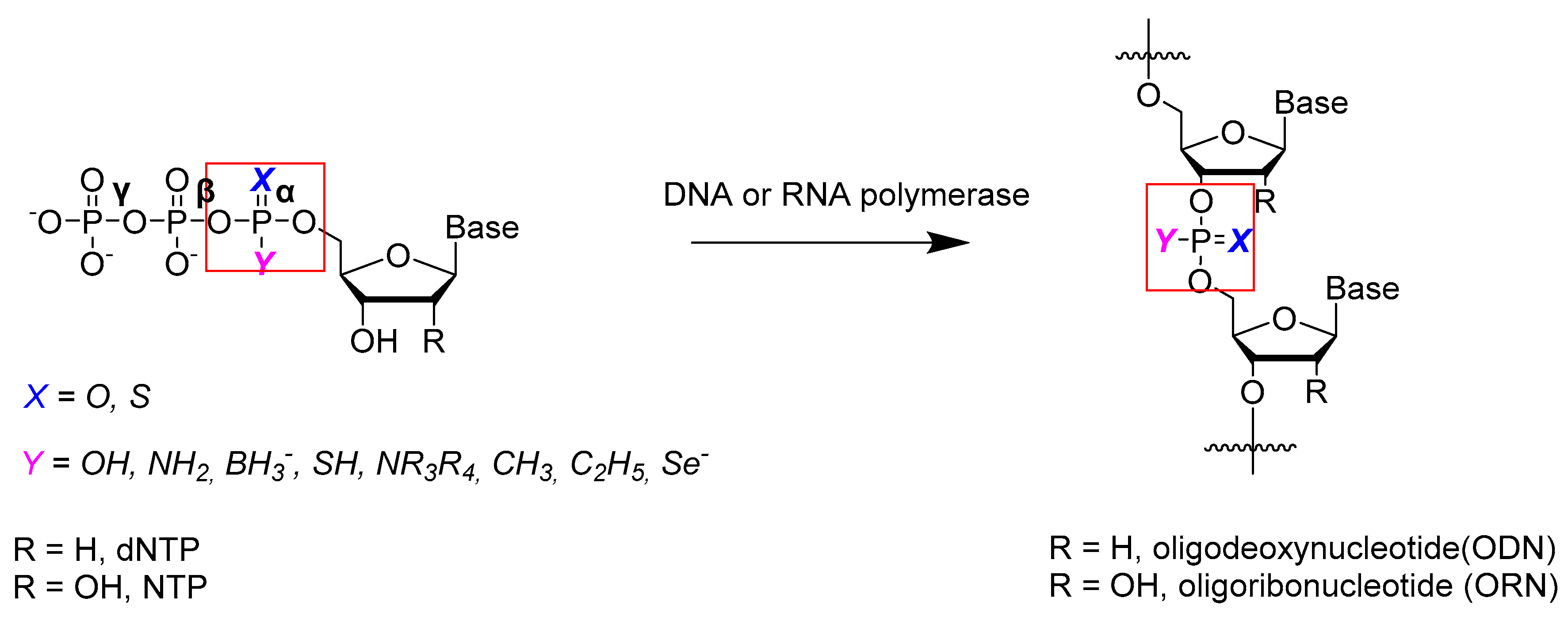 Molecules 29 04121 sch001