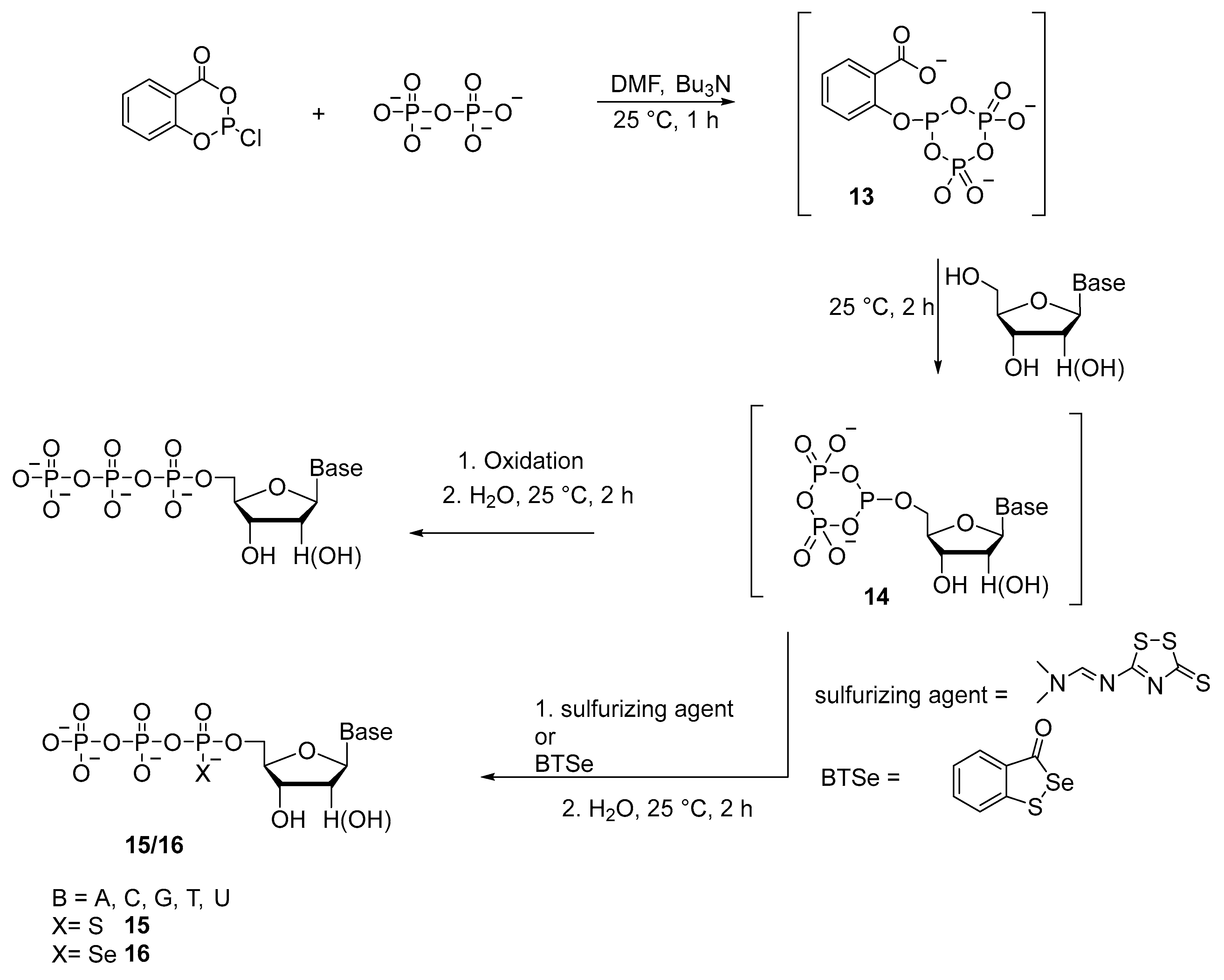 Molecules 29 04121 sch008