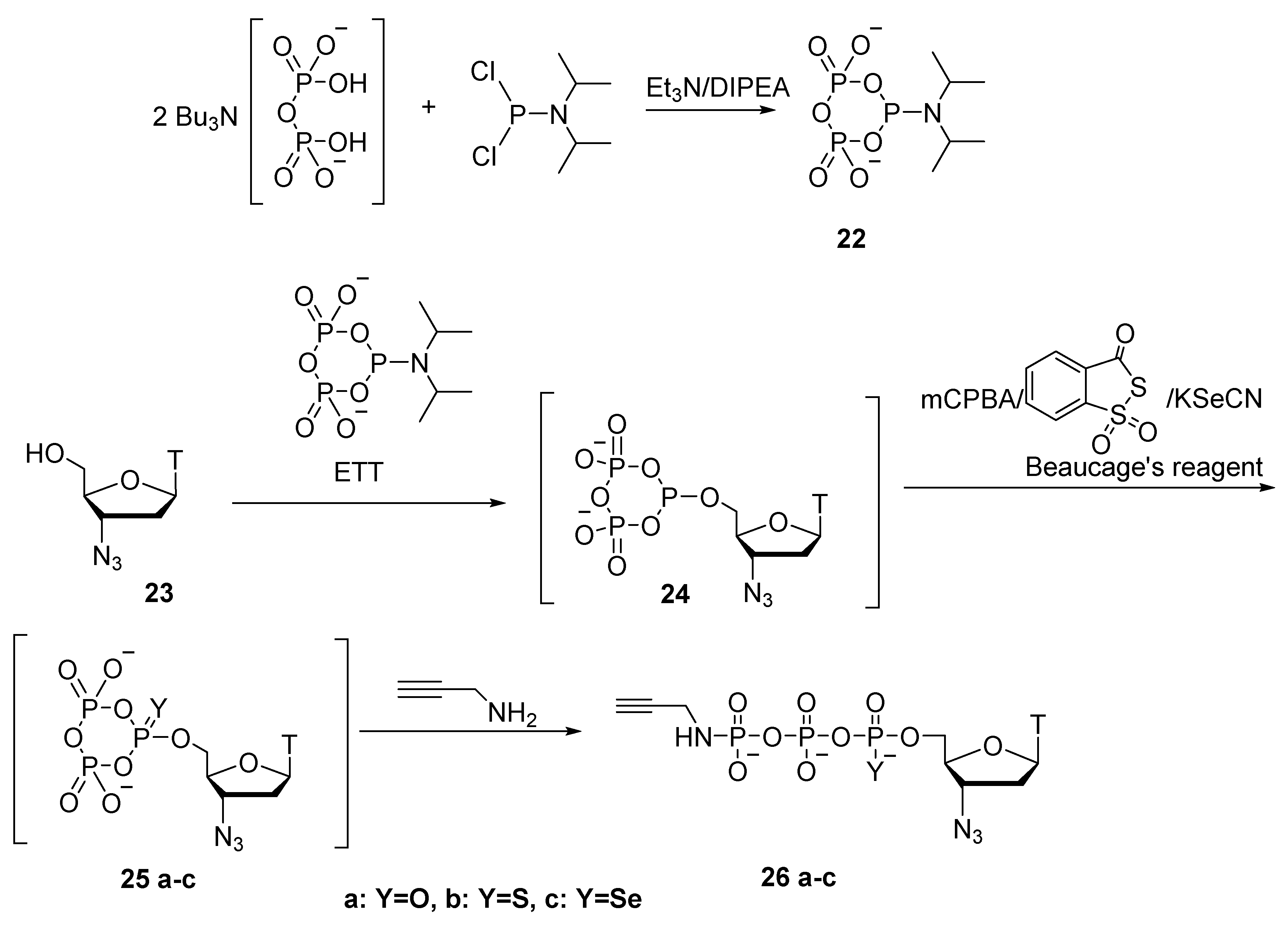 Molecules 29 04121 sch010