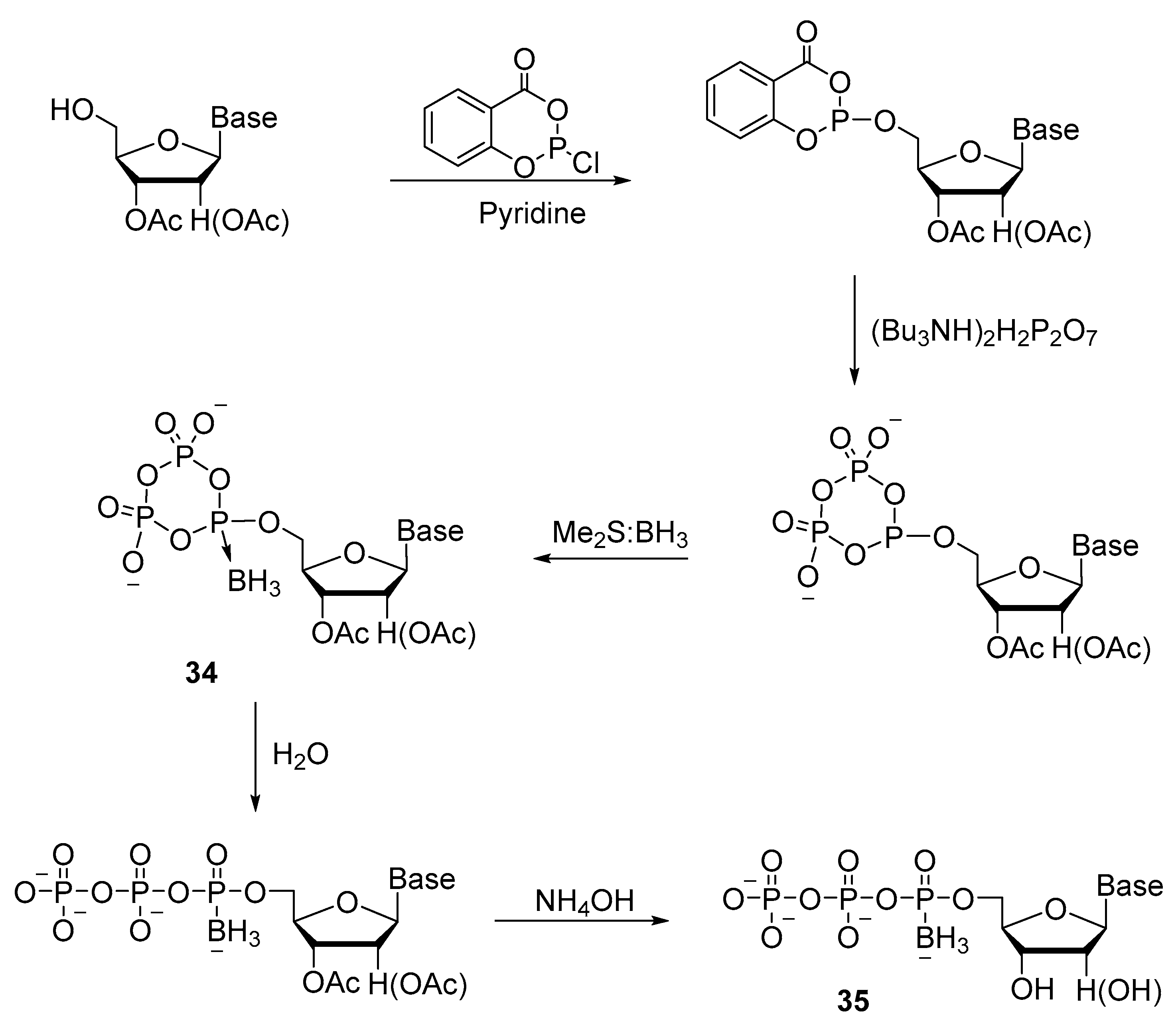Molecules 29 04121 sch015