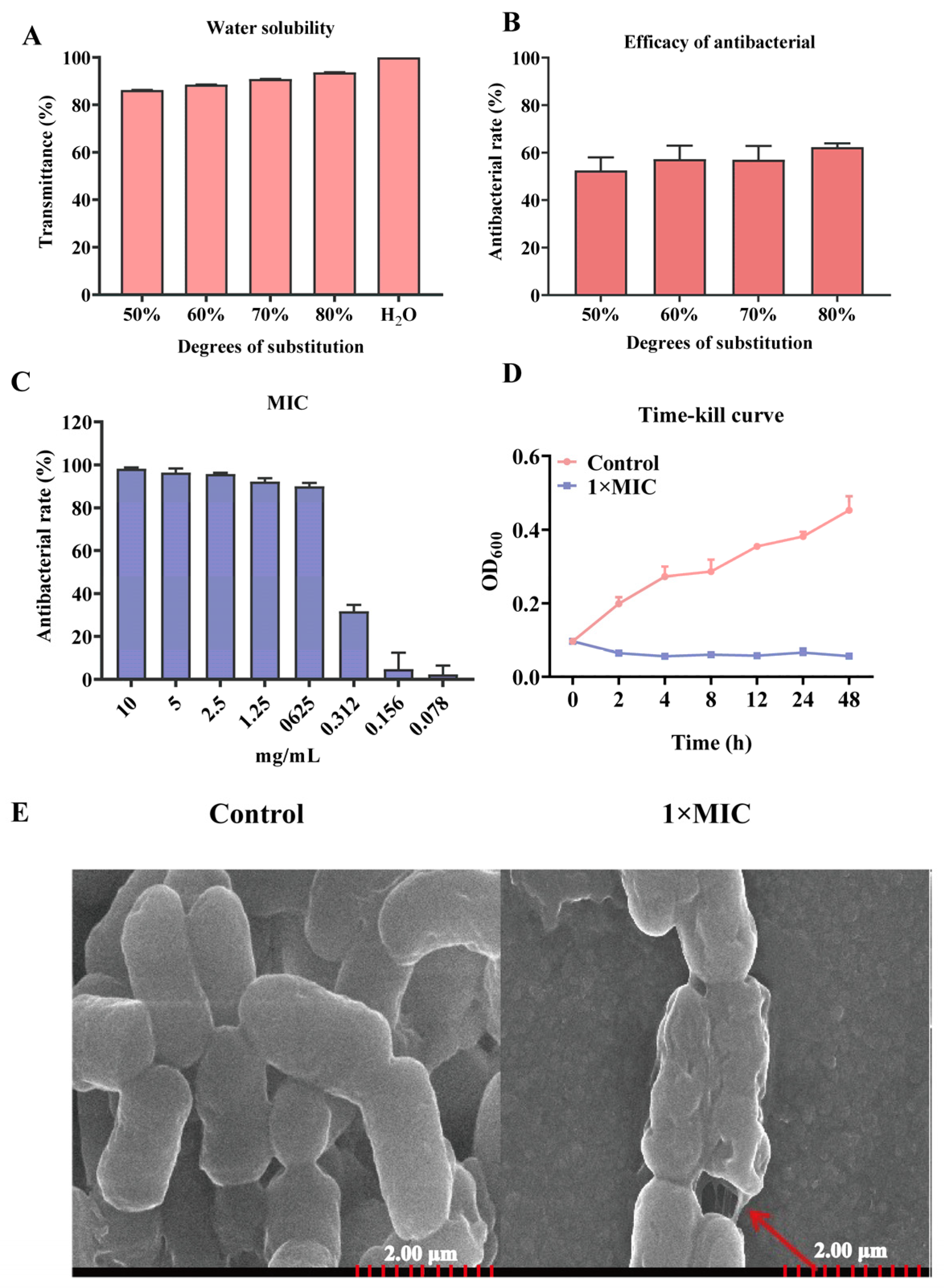 Molecules 29 04126 g001