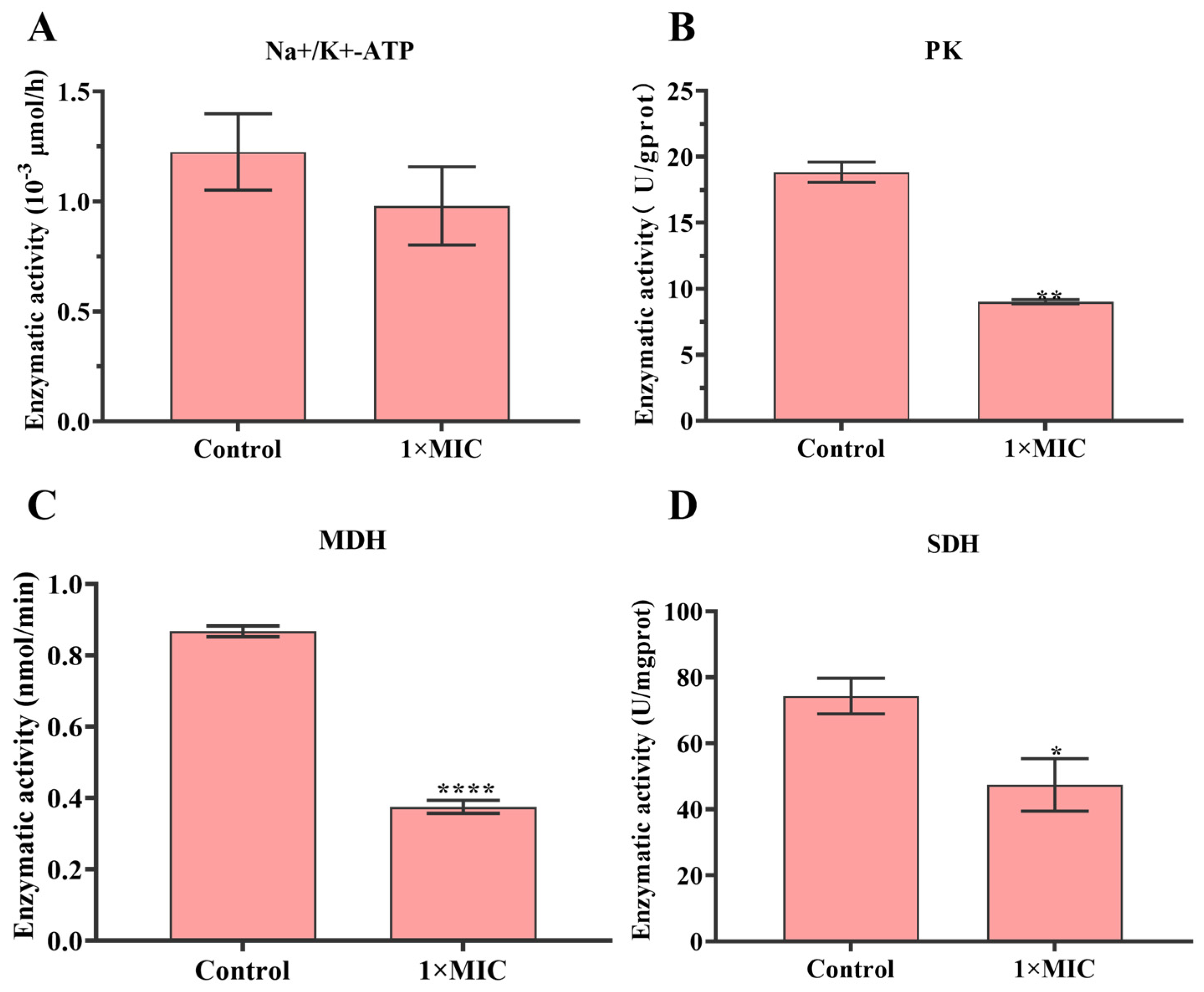 Molecules 29 04126 g003