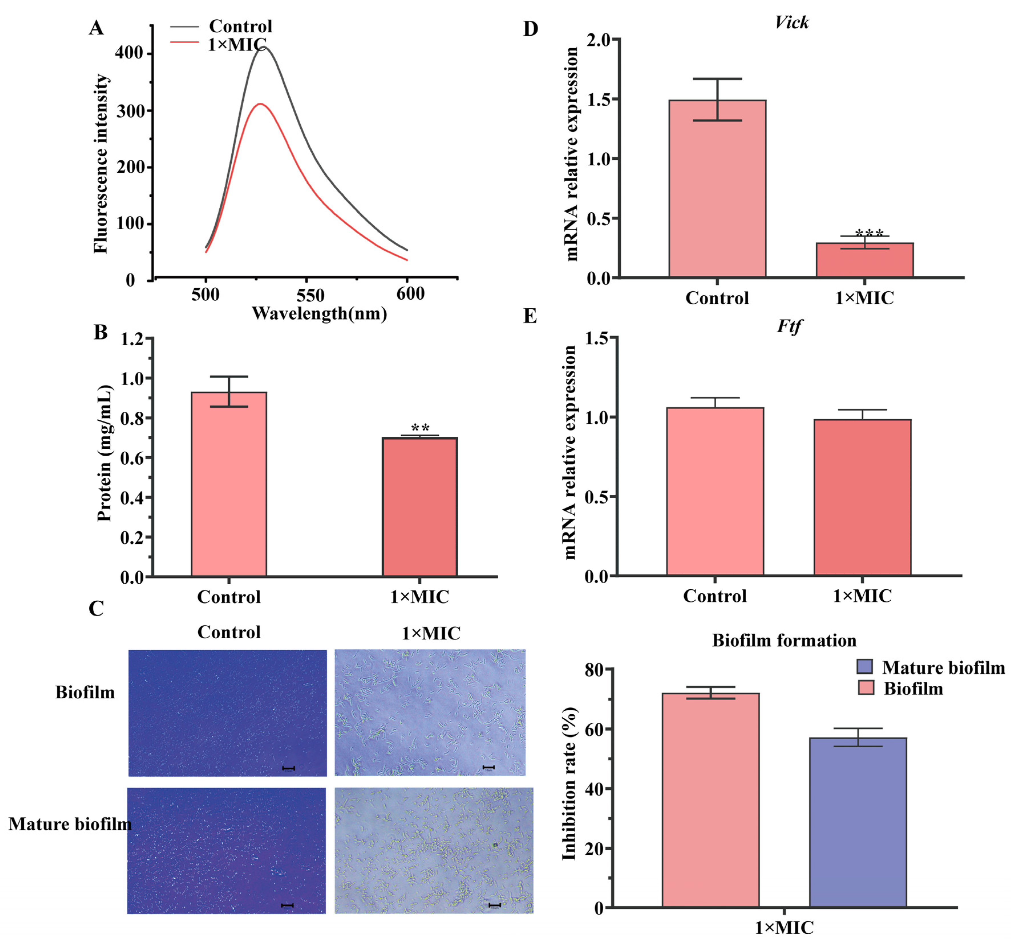 Molecules 29 04126 g004