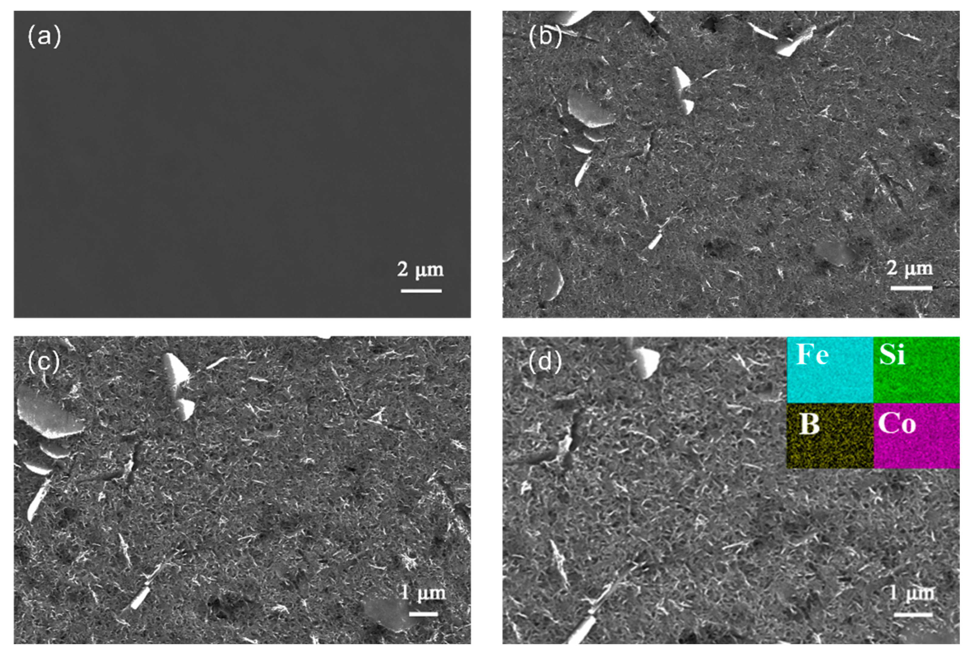Molecules 29 04130 g002