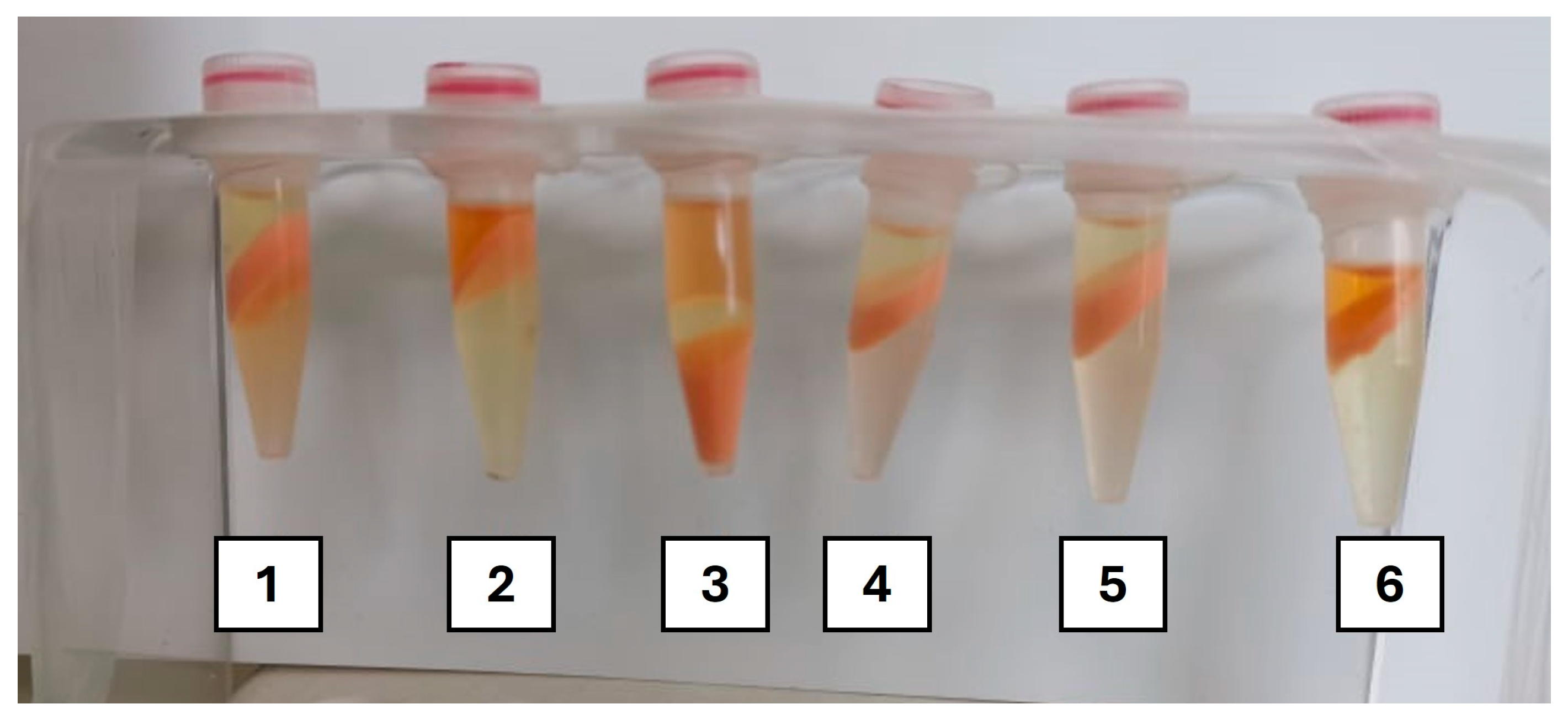 Molecules 29 04132 g002