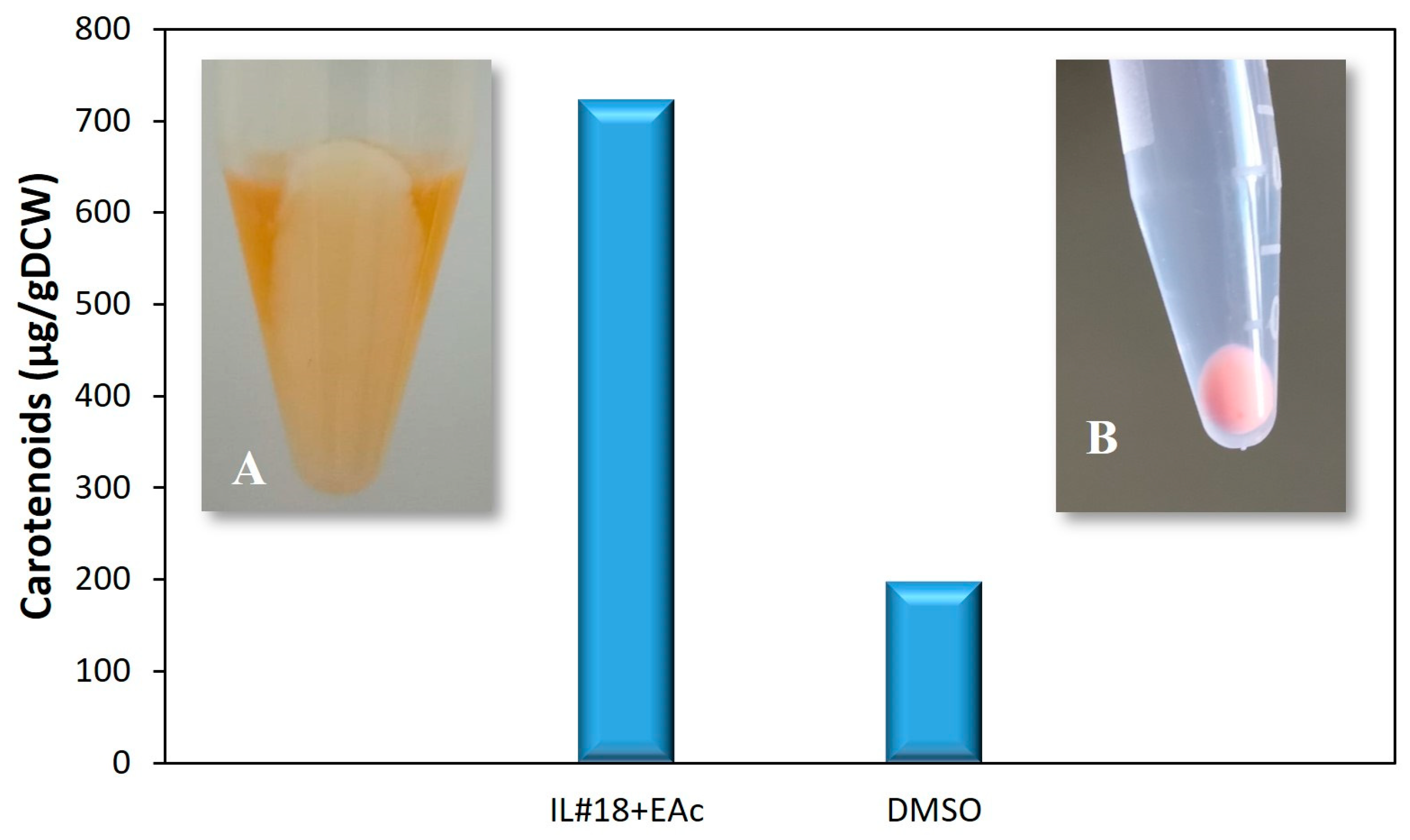 Molecules 29 04132 g006