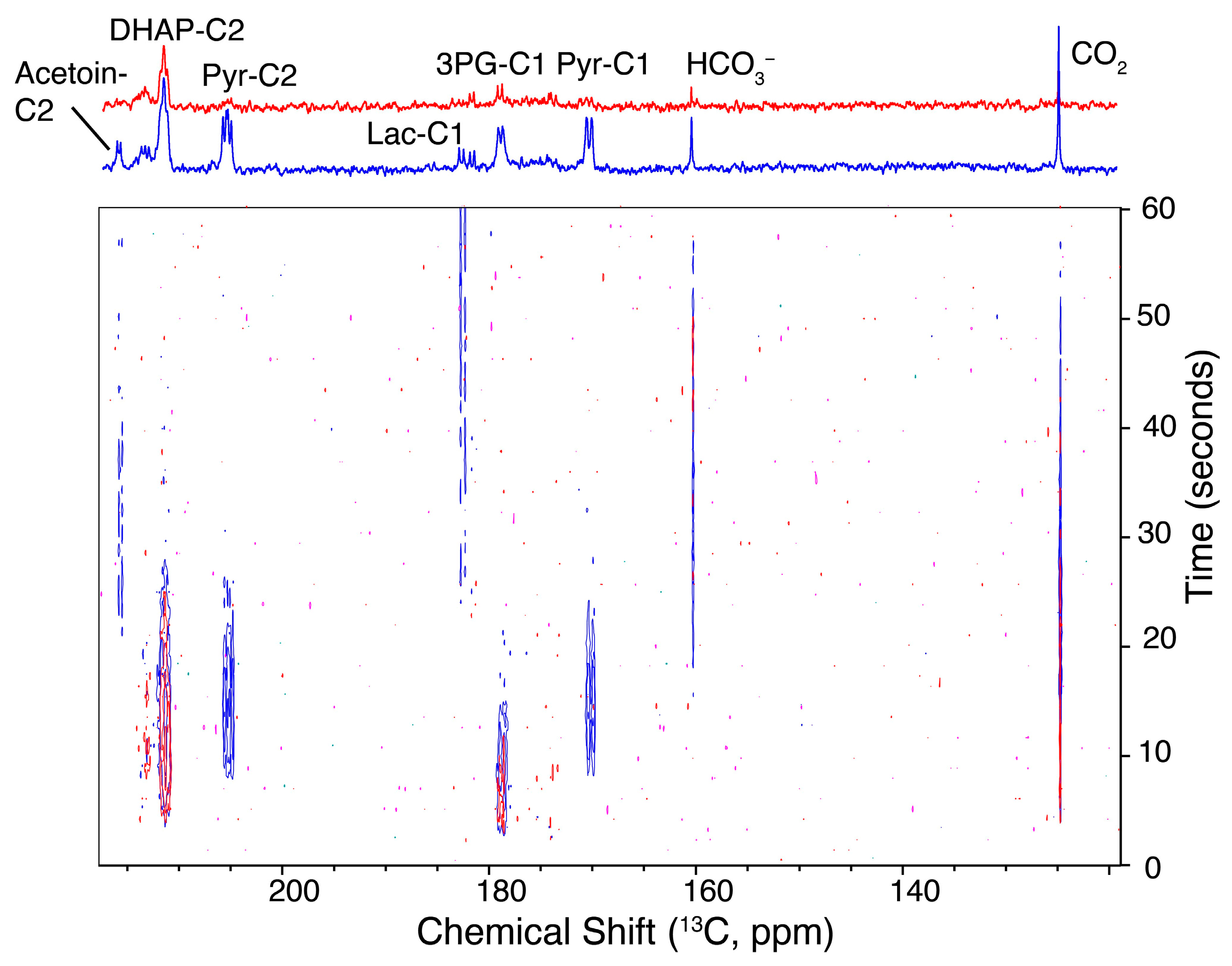 Molecules 29 04133 g005