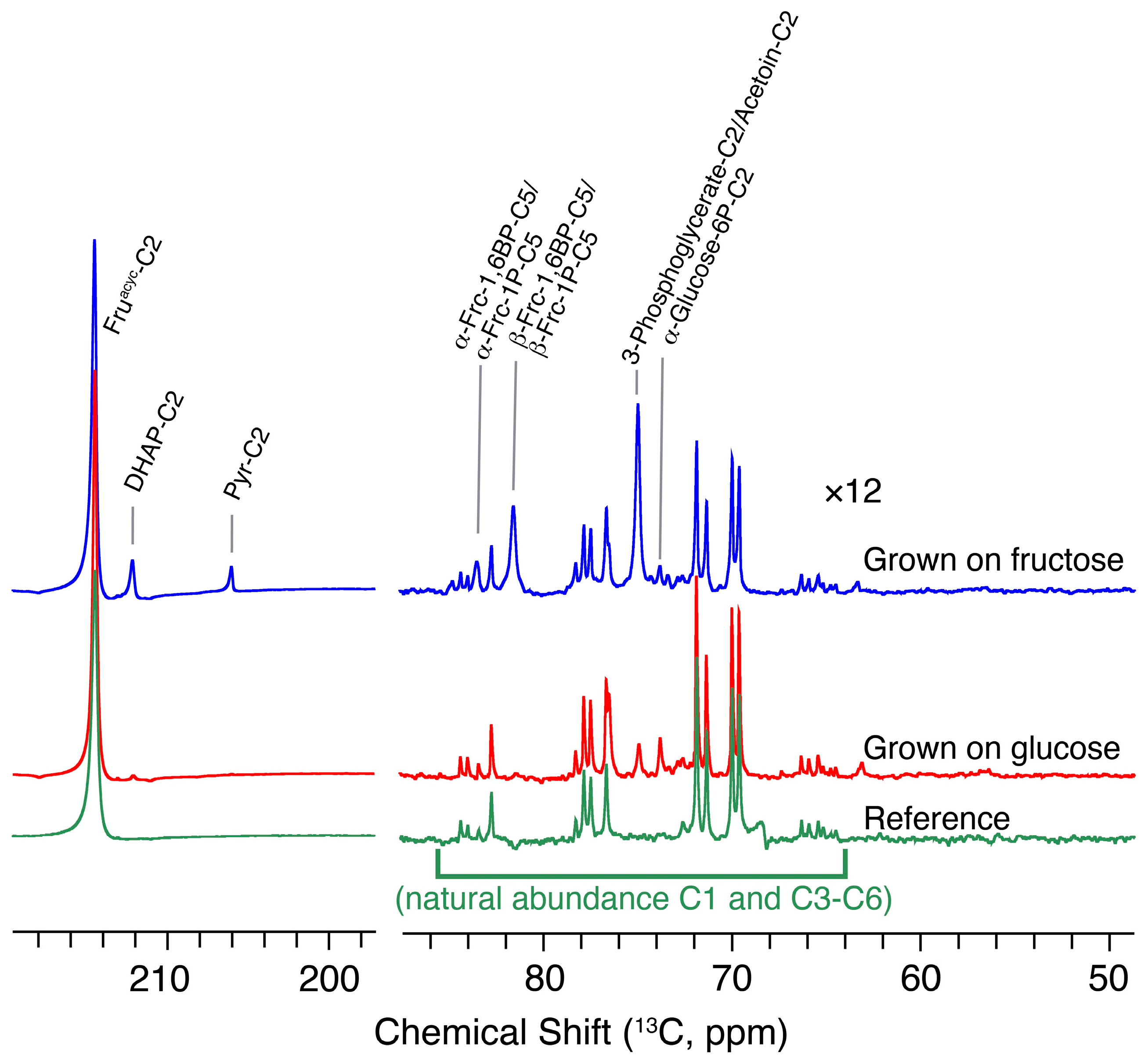 Molecules 29 04133 g006