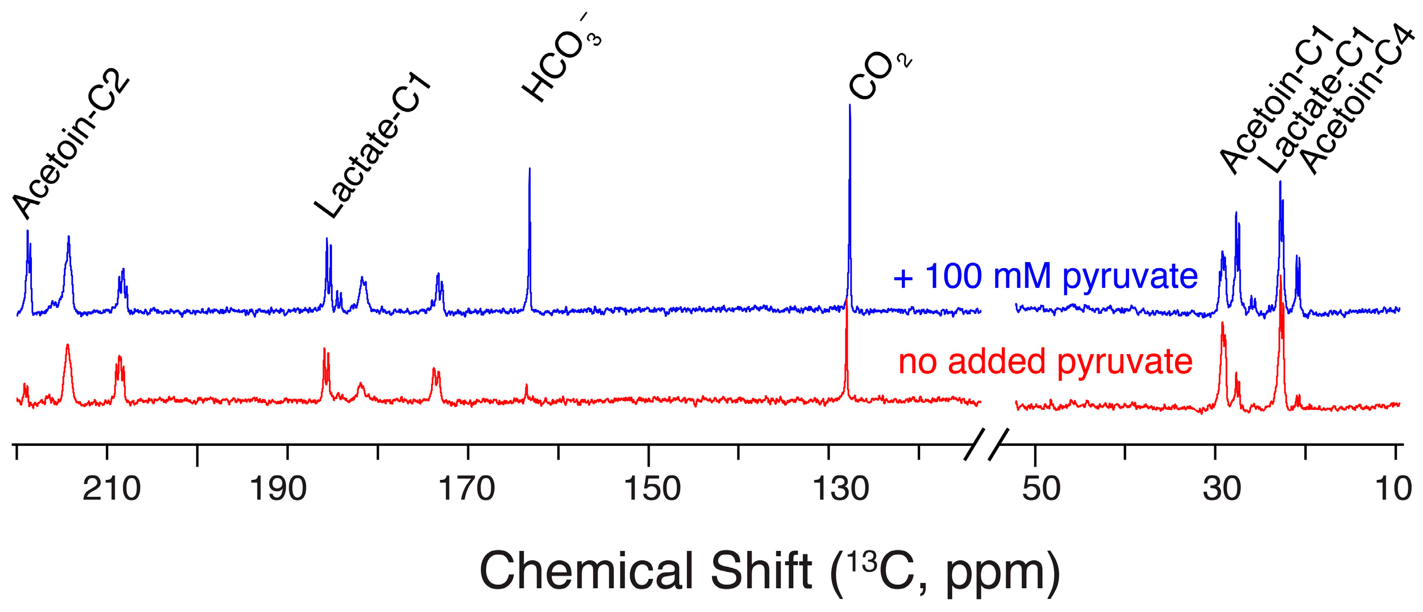 Molecules 29 04133 g007