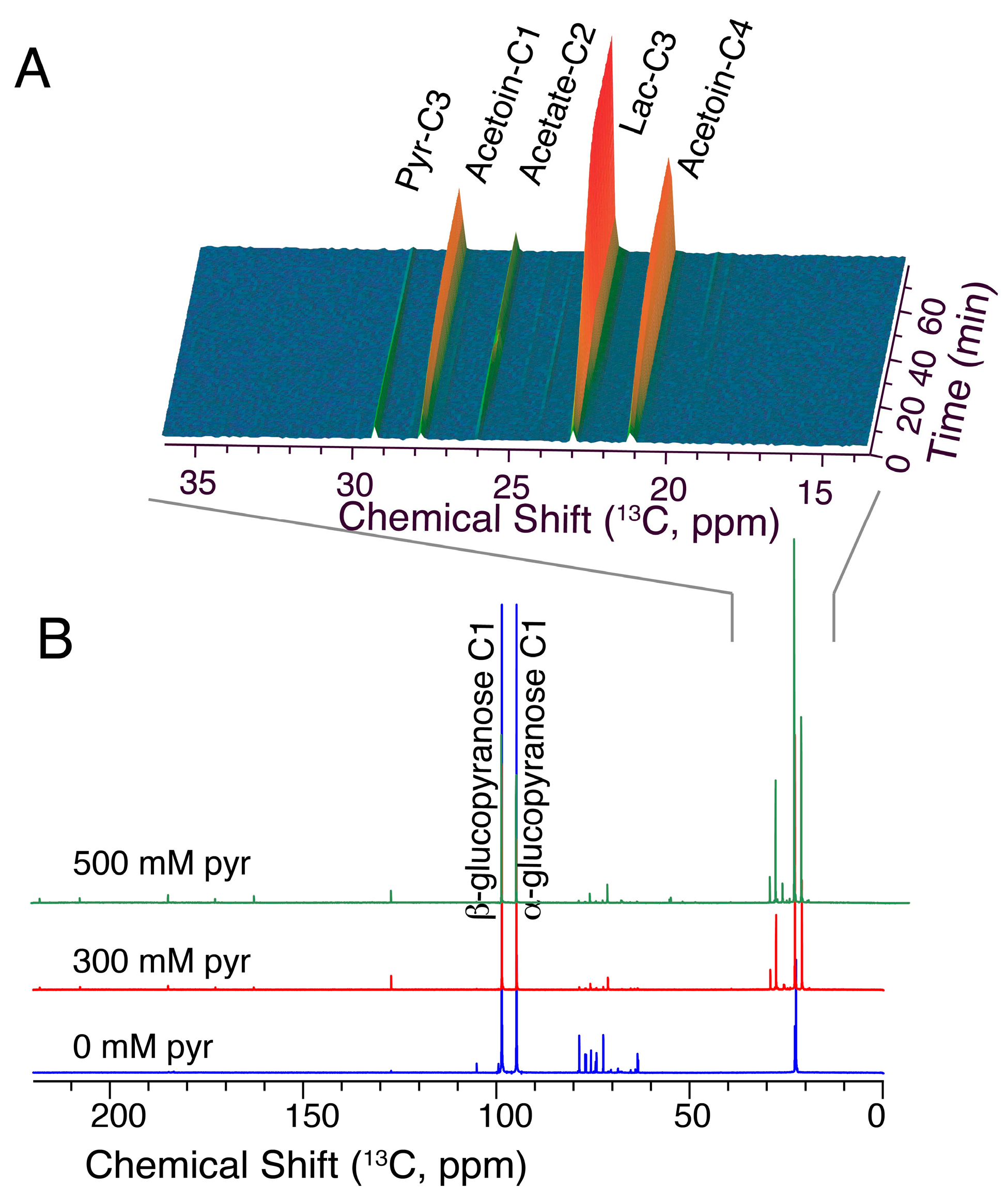 Molecules 29 04133 g008