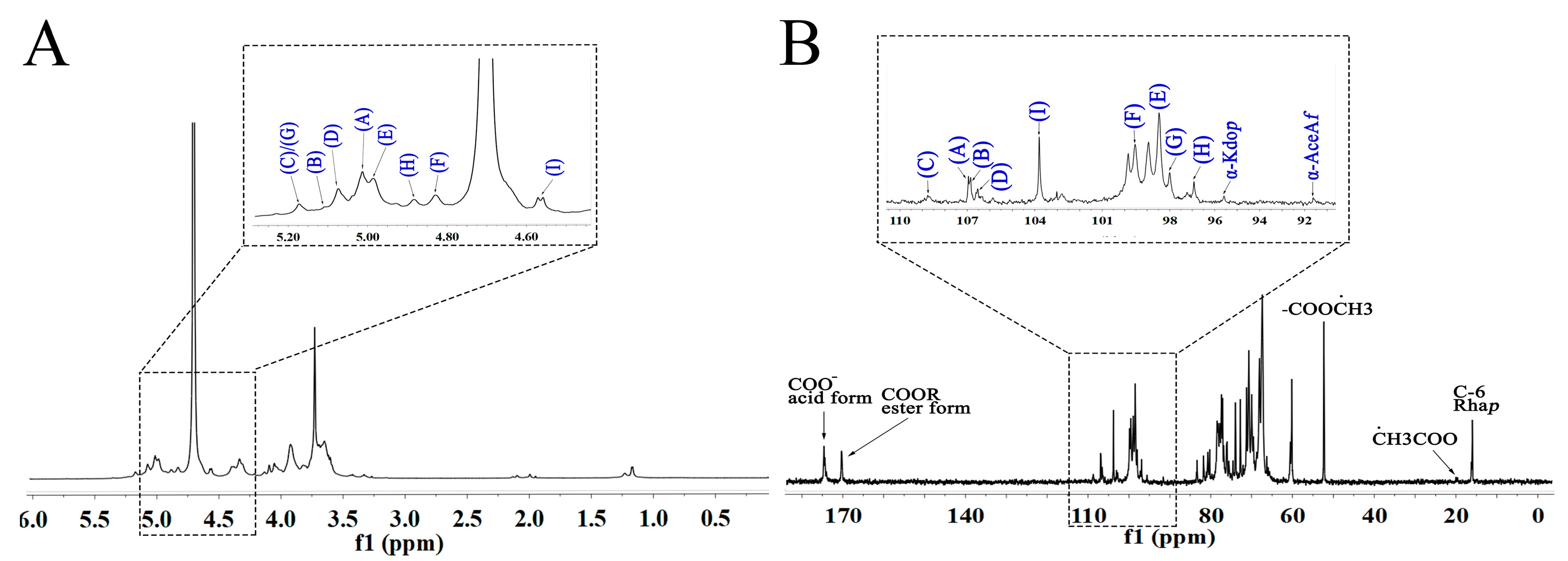 Molecules 29 04135 g003