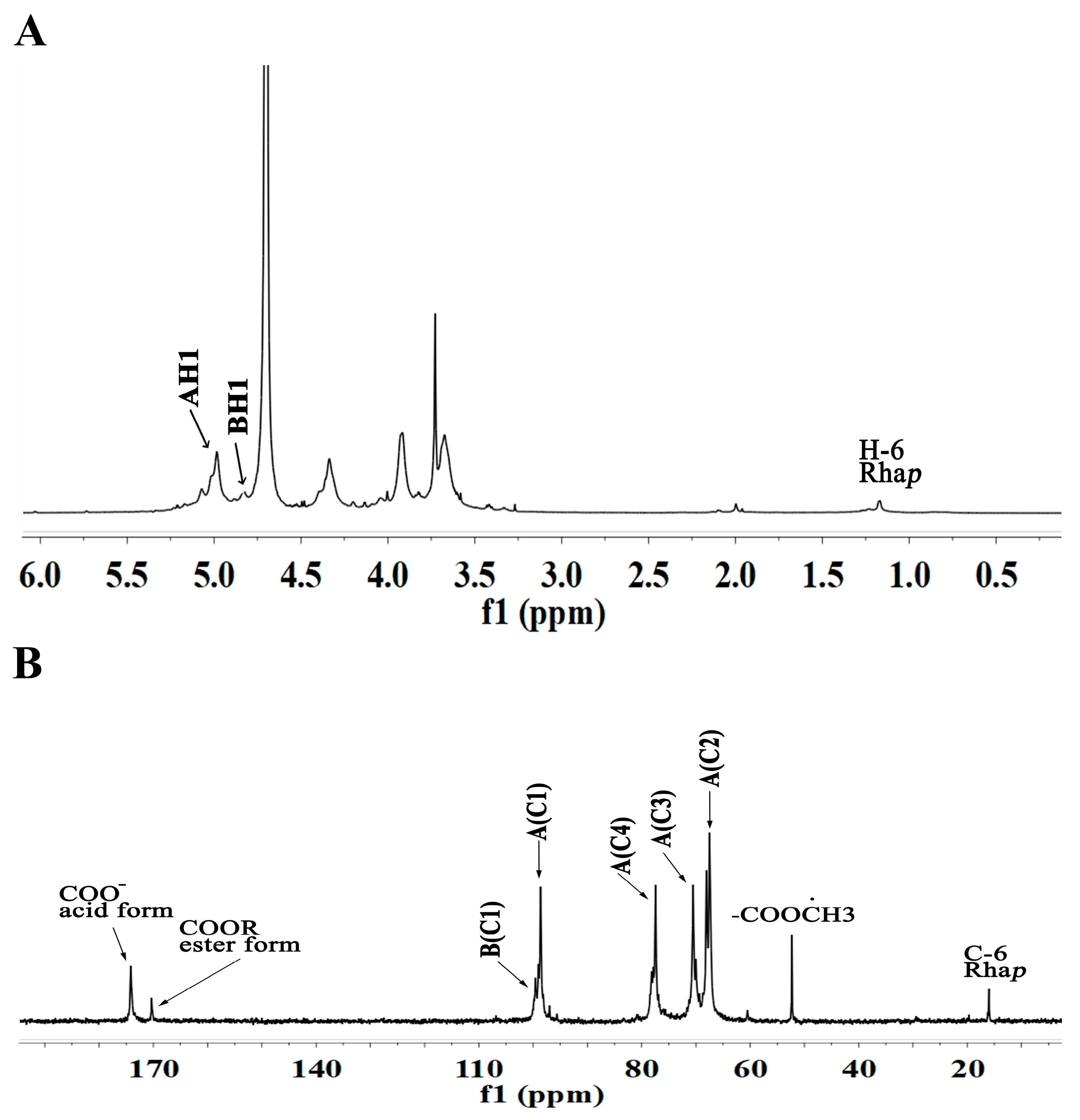 Molecules 29 04135 g005
