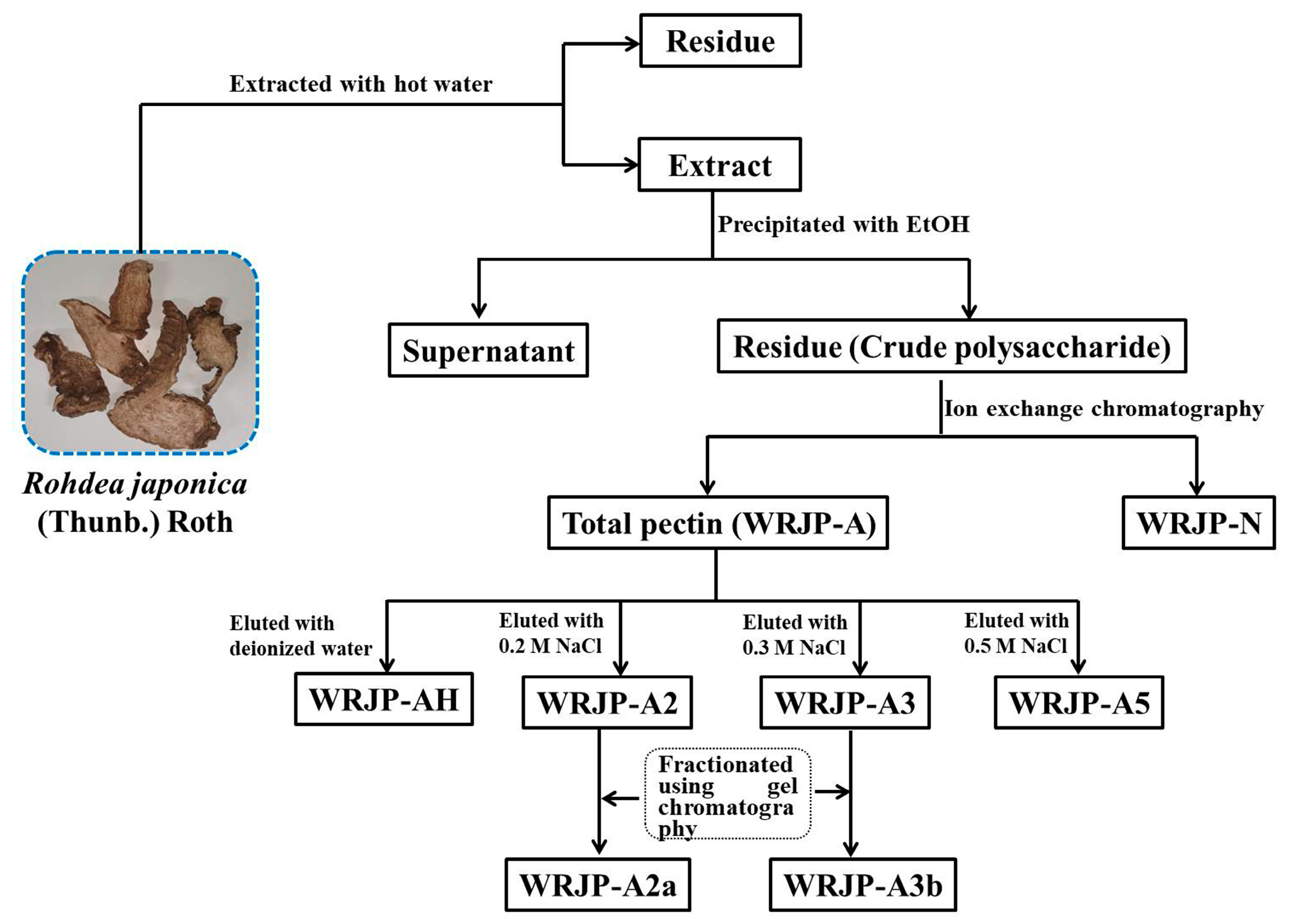 Molecules 29 04135 g010