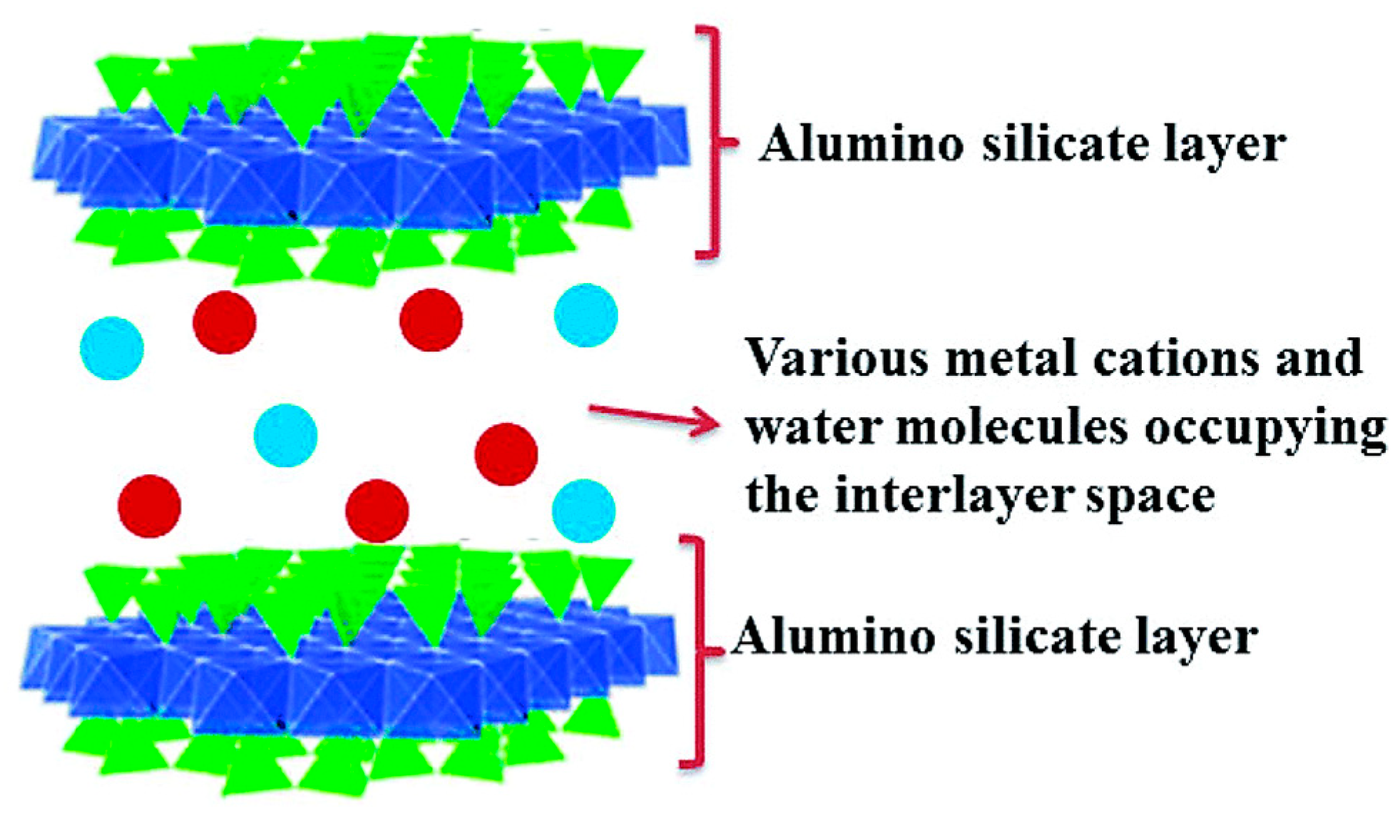 Molecules 29 04143 g006