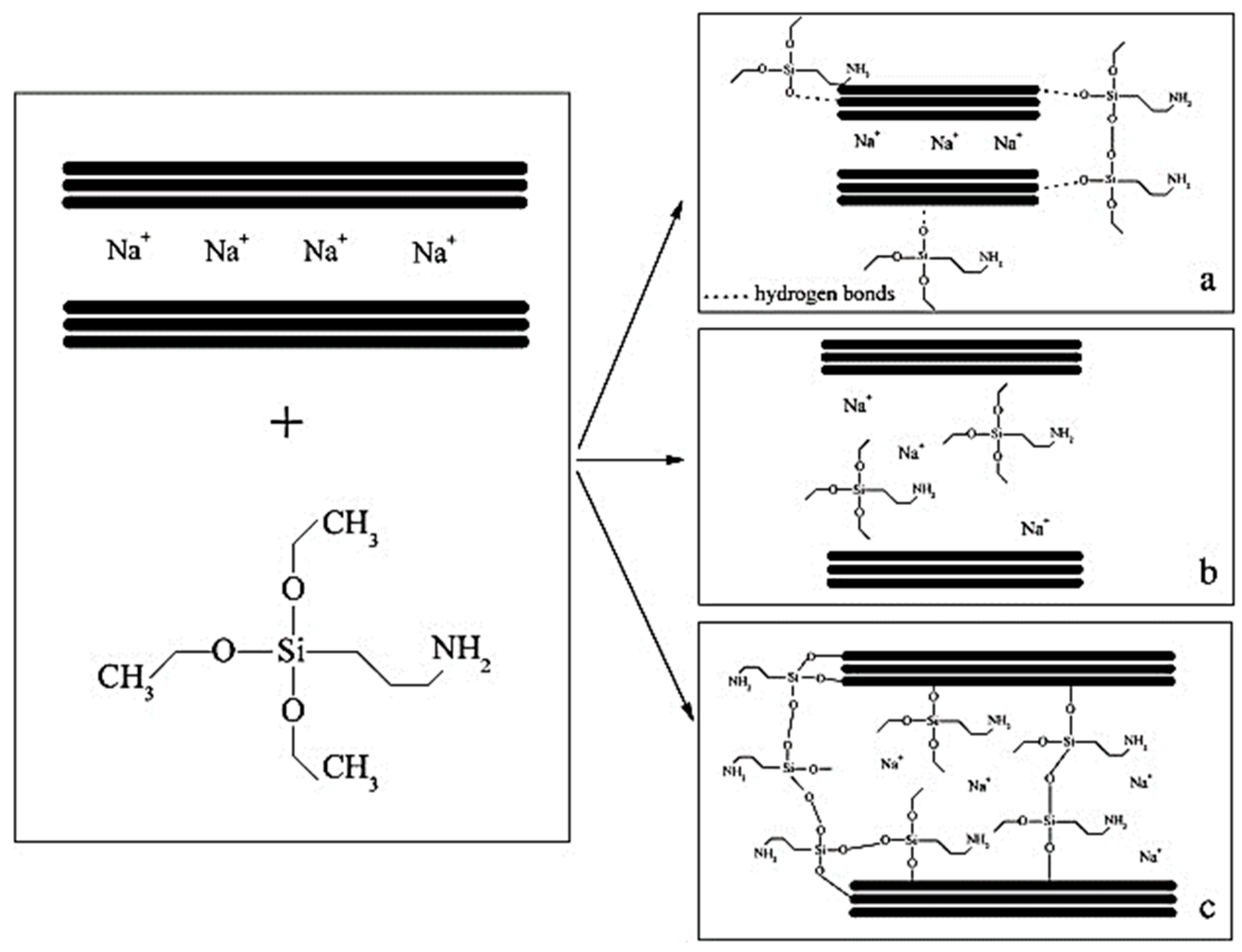 Molecules 29 04143 g007