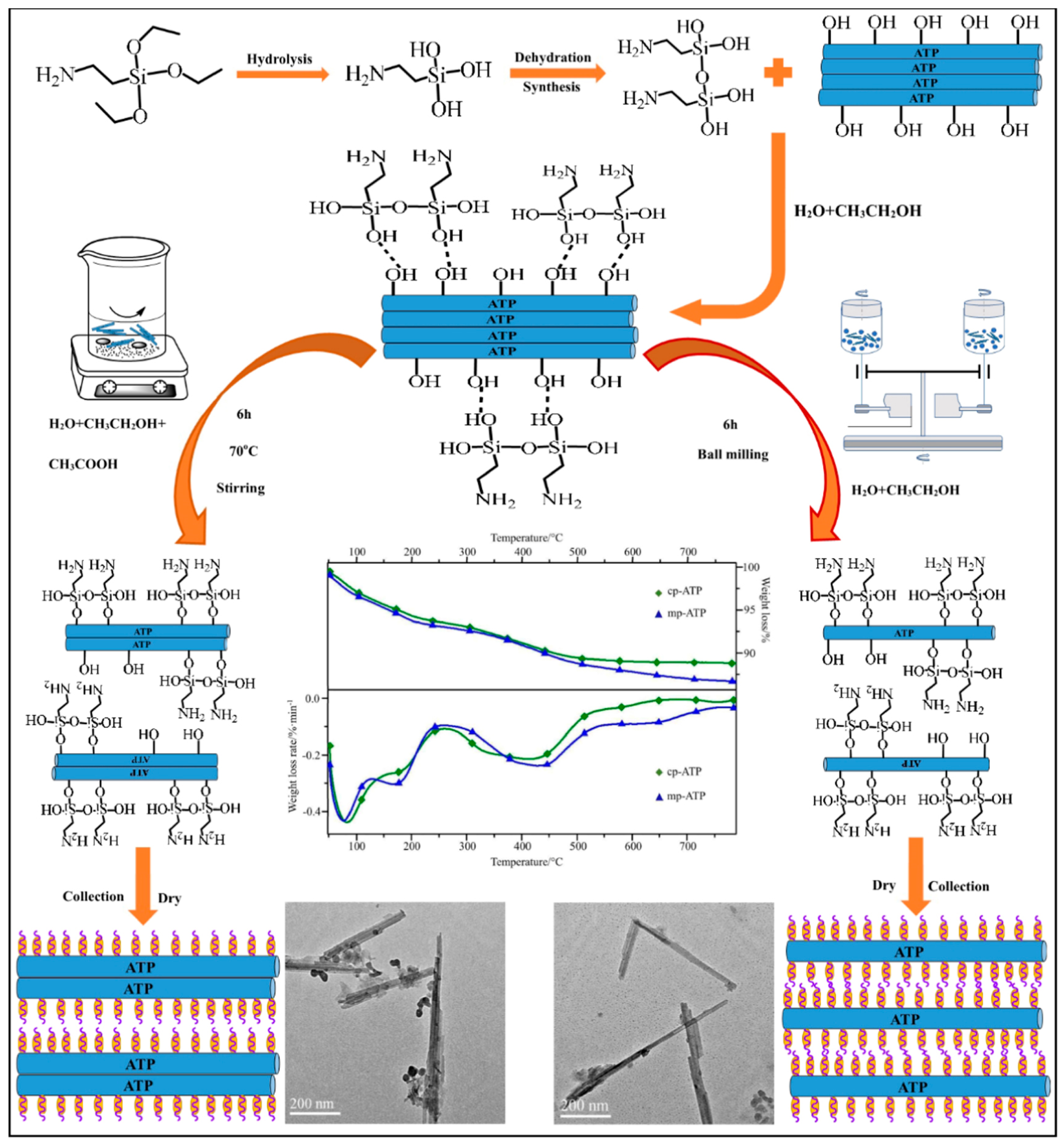 Molecules 29 04143 g011