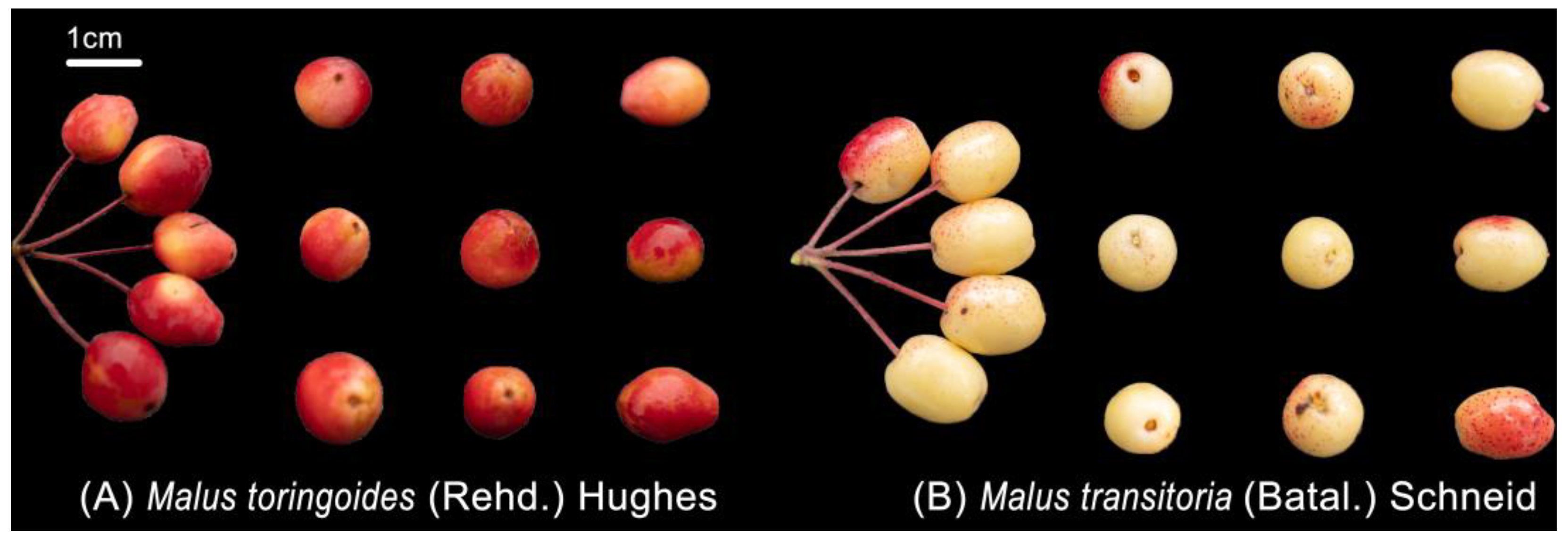Molecules 29 04154 g010