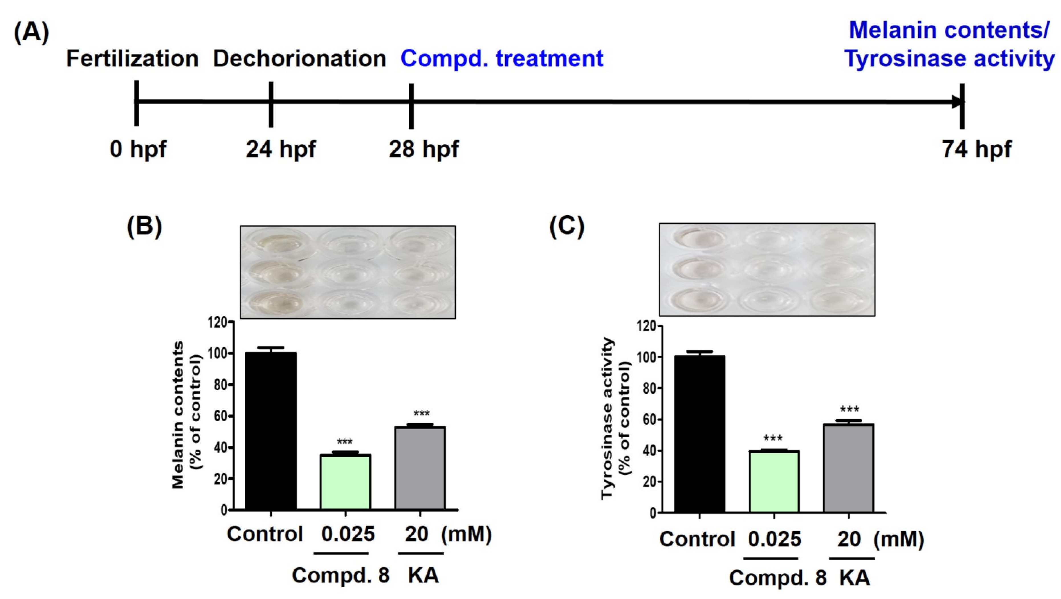 Molecules 29 04162 g014
