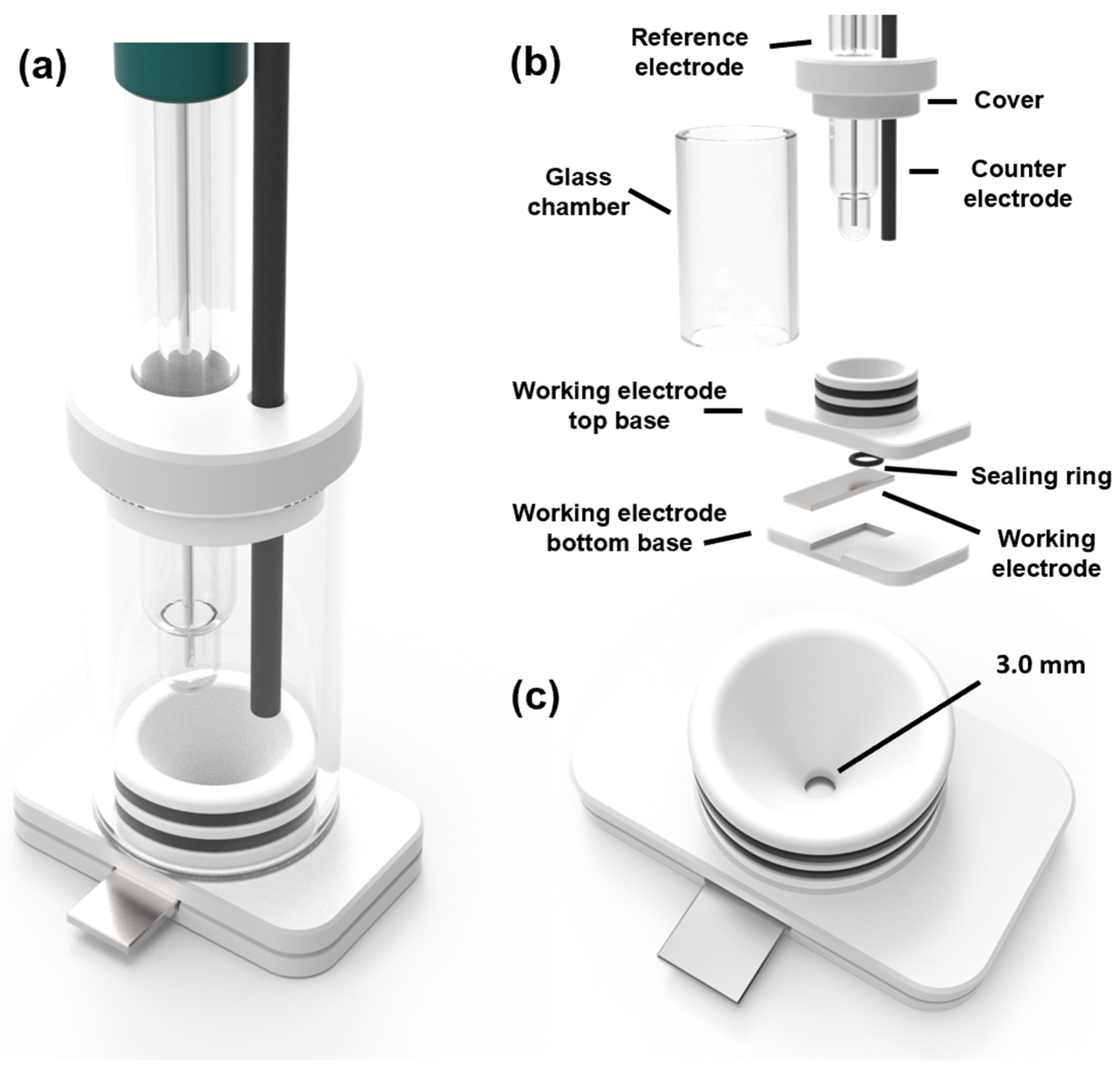 Molecules 29 04163 g010