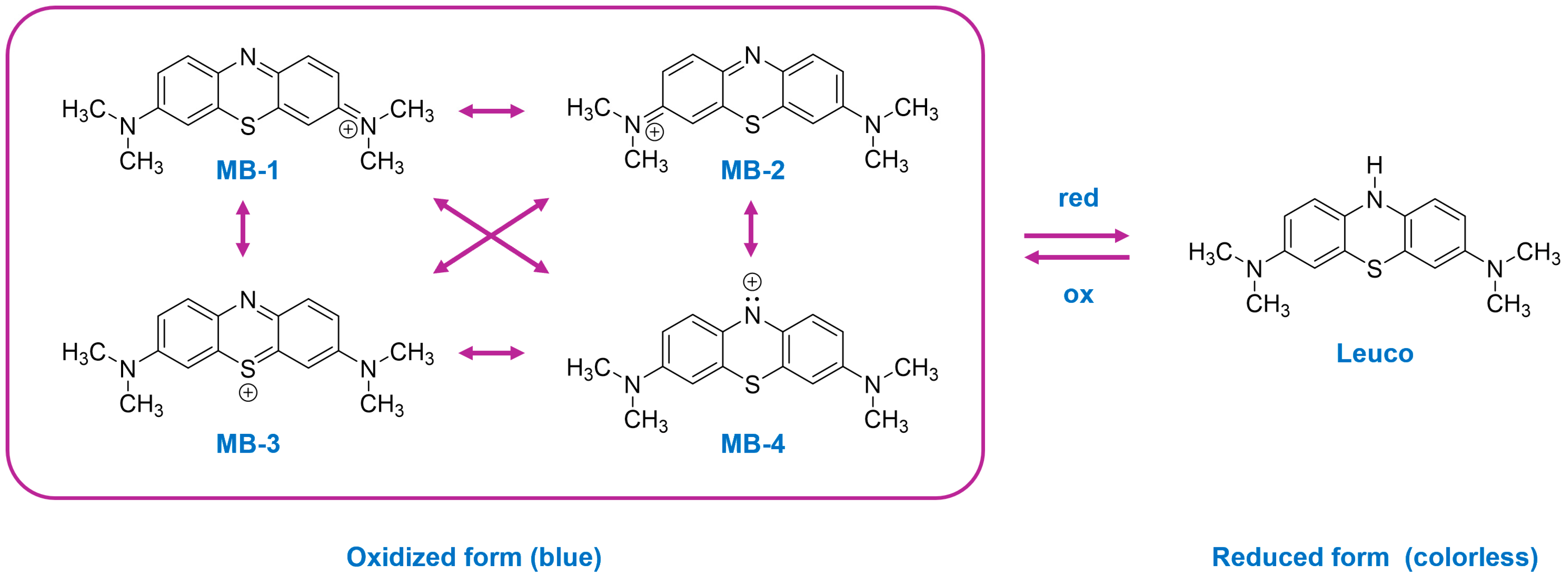 Molecules 29 04167 g001