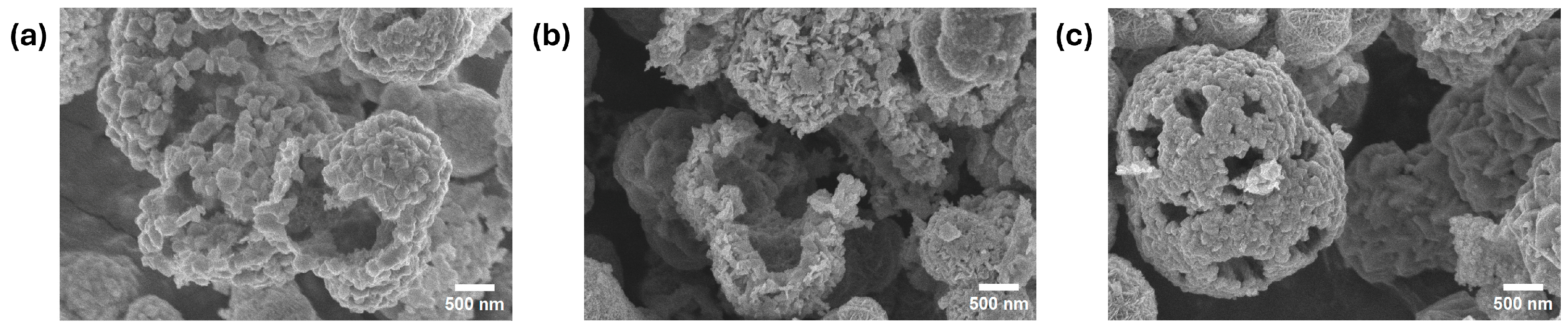 Molecules 29 04167 g008