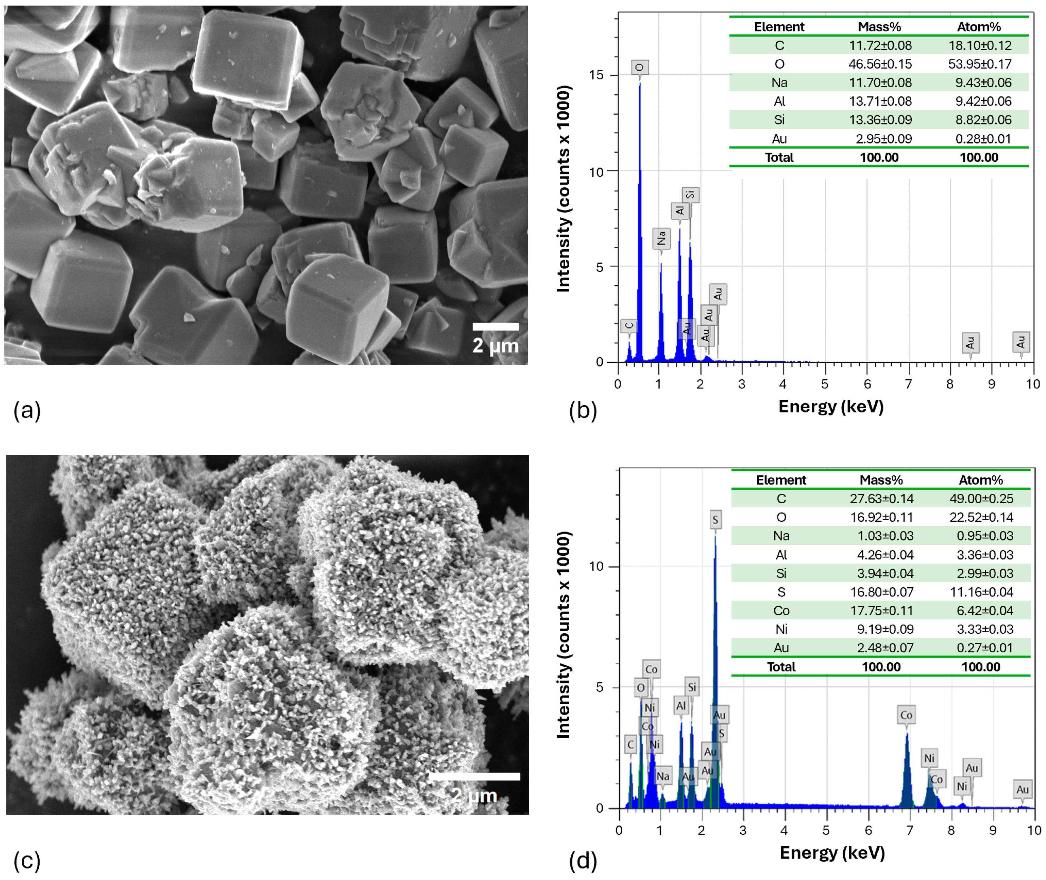 Molecules 29 04167 g011
