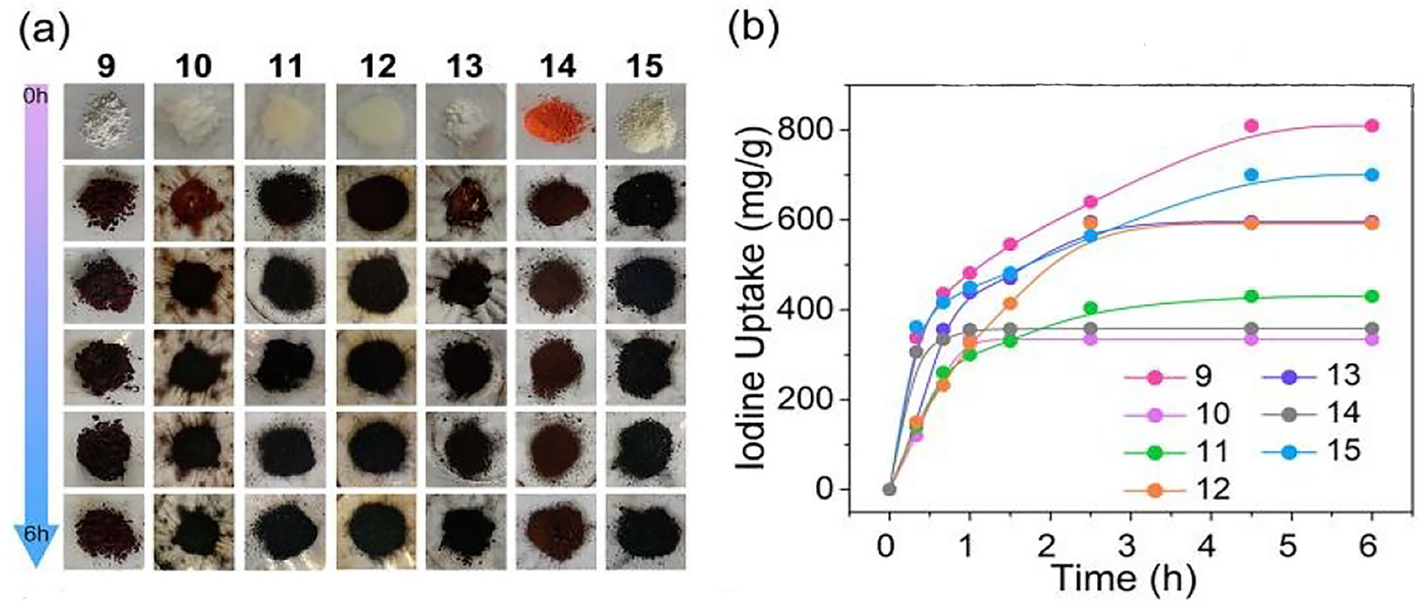 Molecules 29 04170 g001