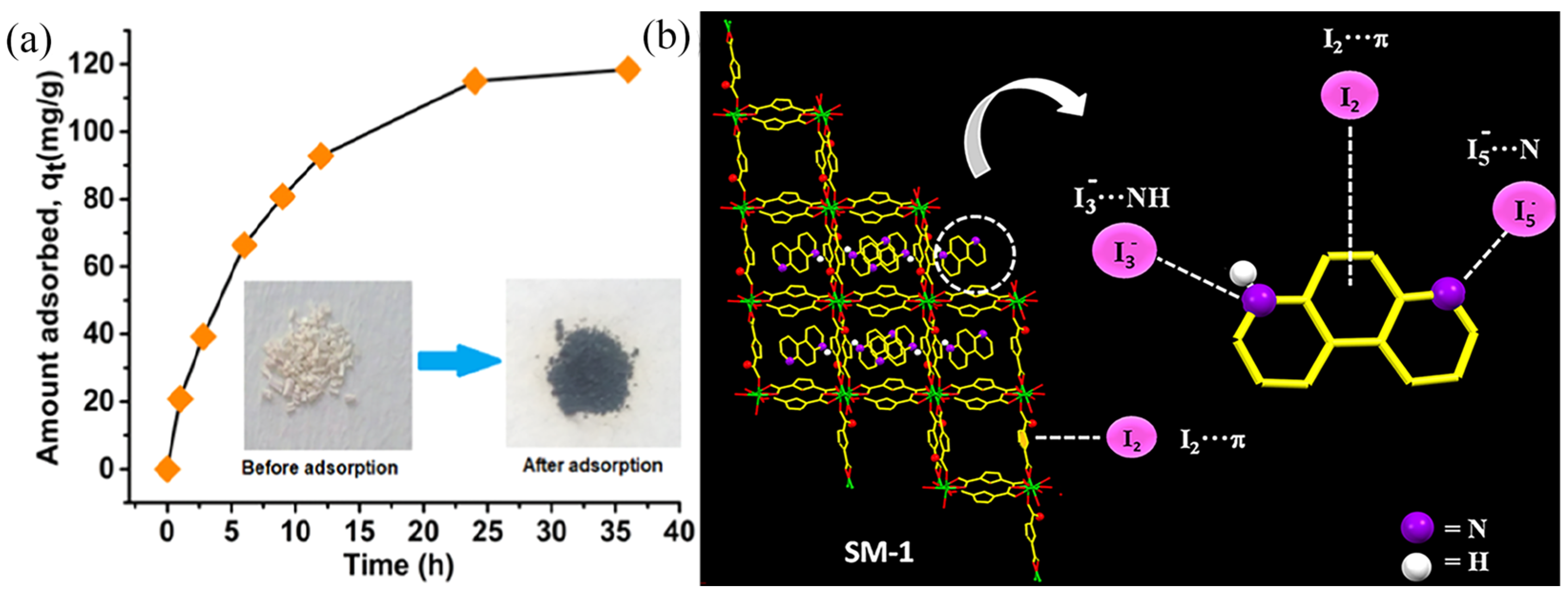 Molecules 29 04170 g003