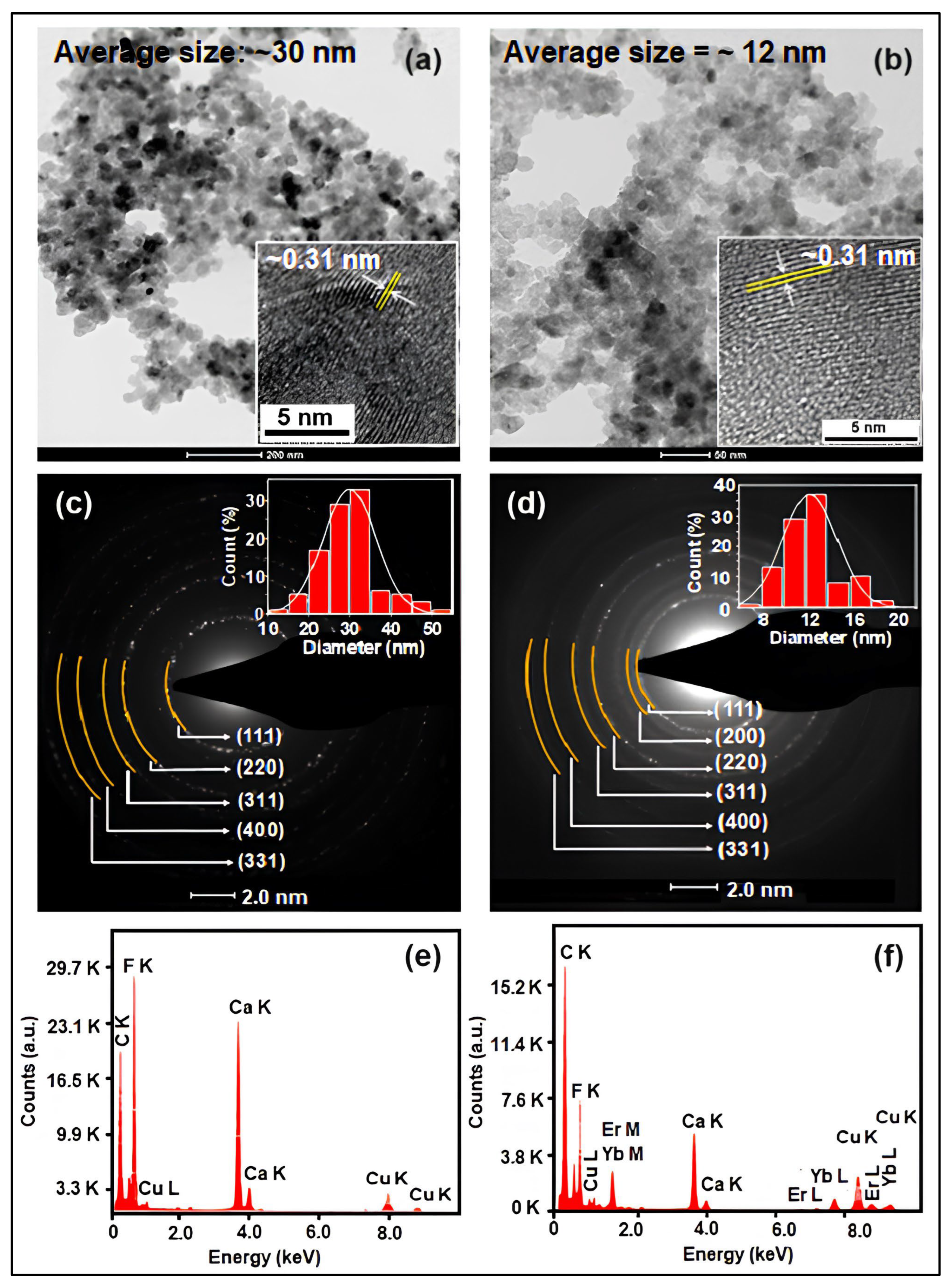 Molecules 29 04177 g002 Molecules 29 04177 g002
