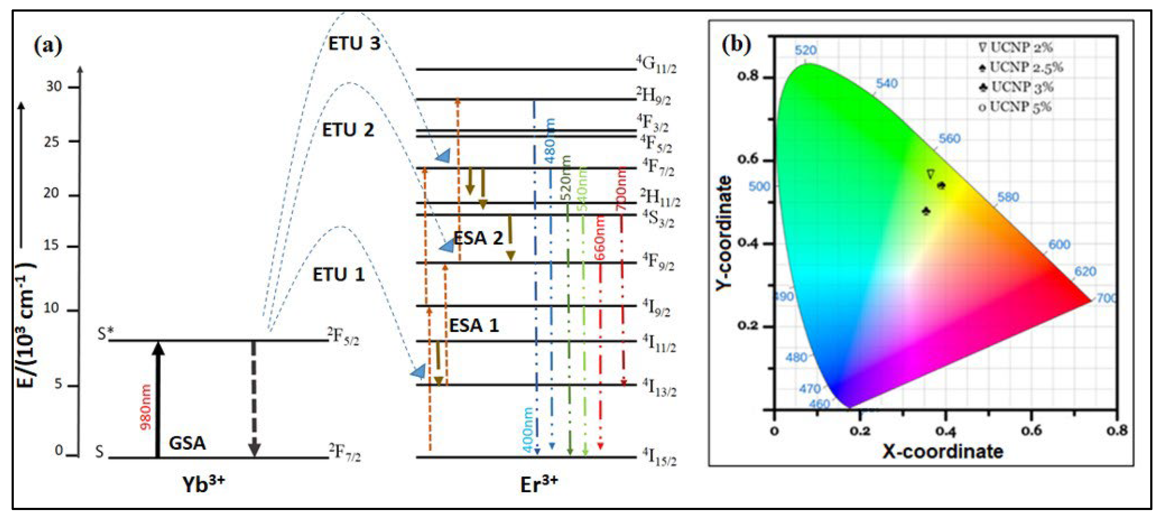 Molecules 29 04177 g005 Molecules 29 04177 g005