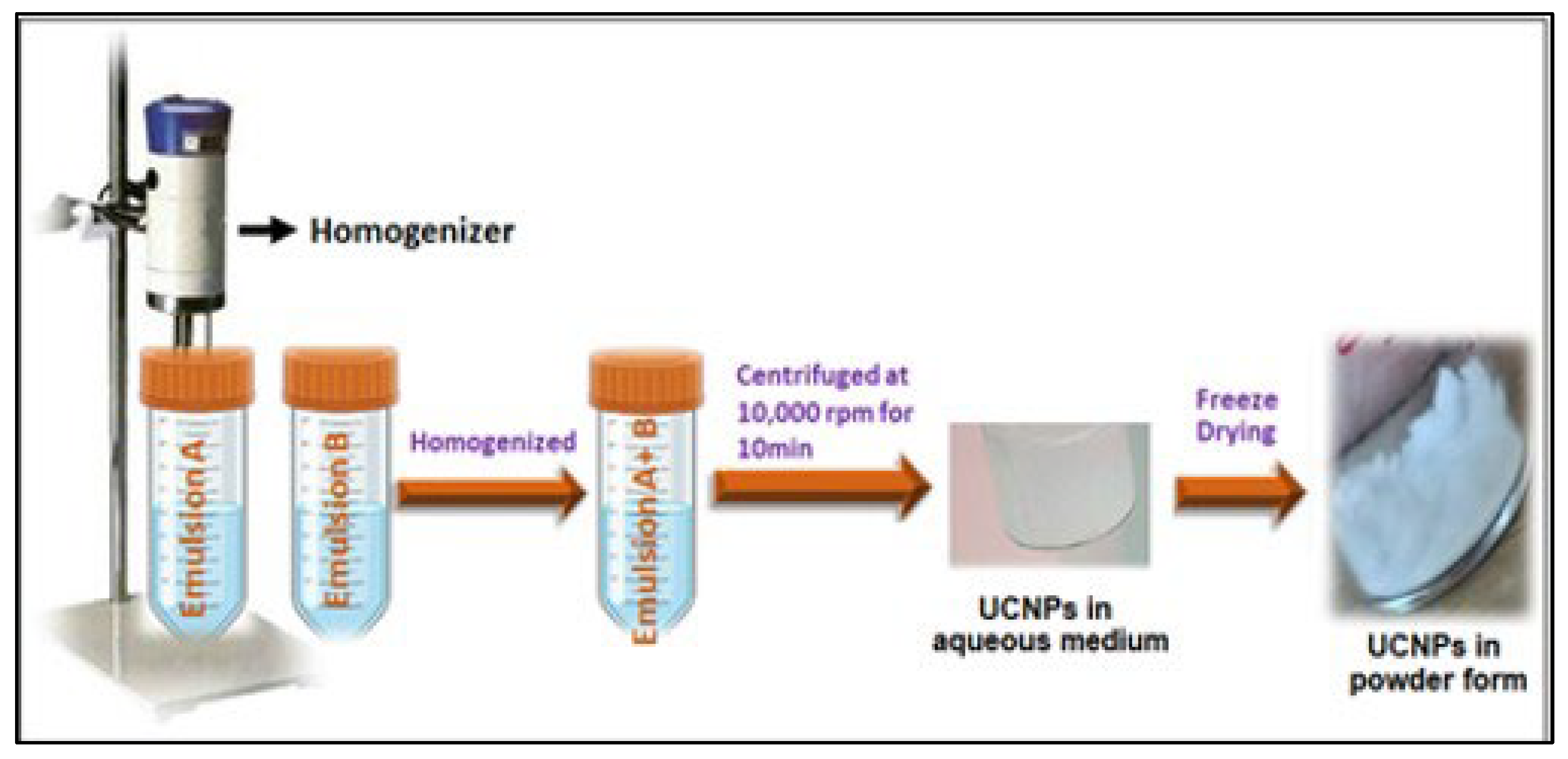 Molecules 29 04177 sch001 Molecules 29 04177 sch001
