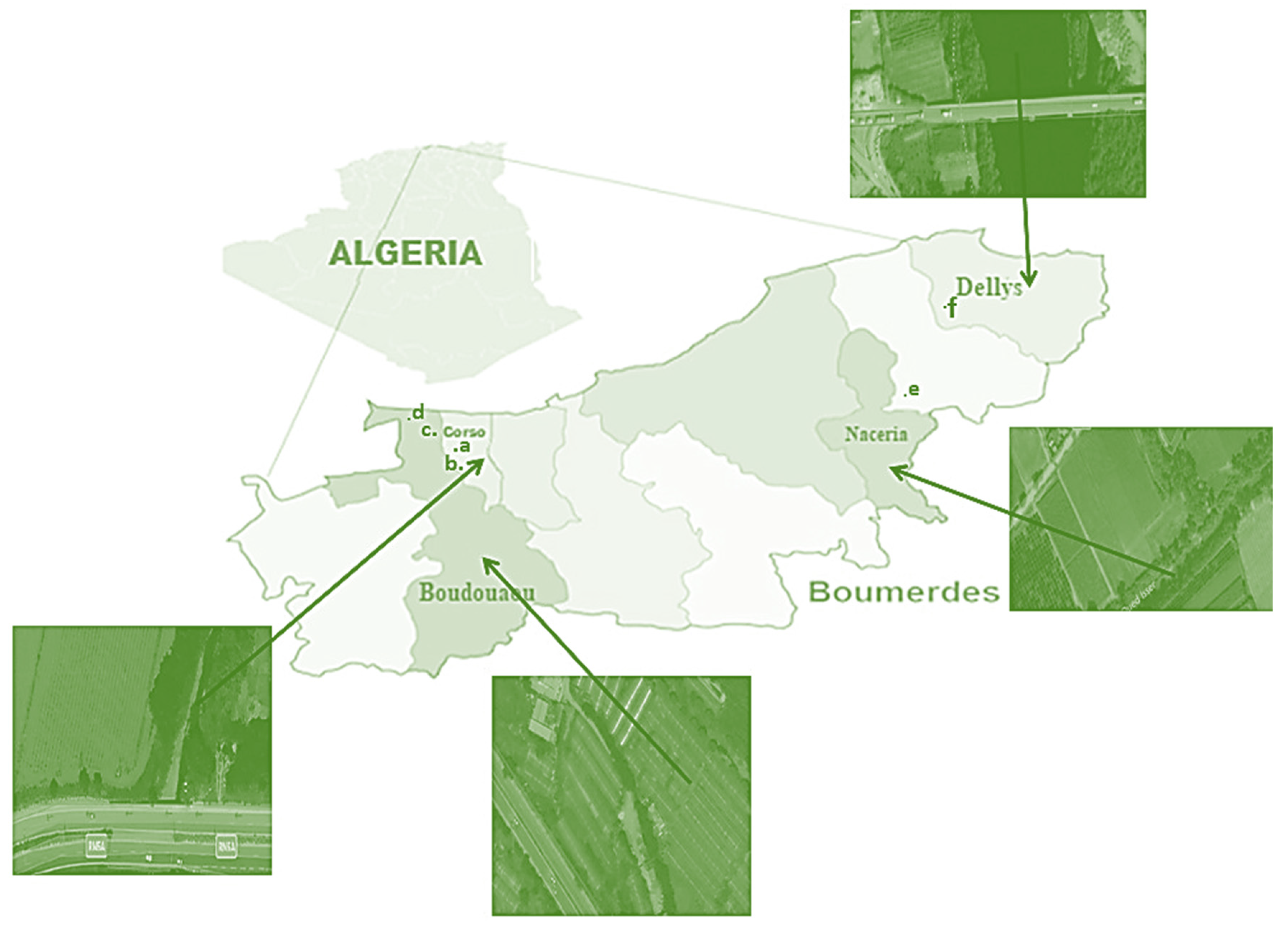 Molecules 29 04187 g007