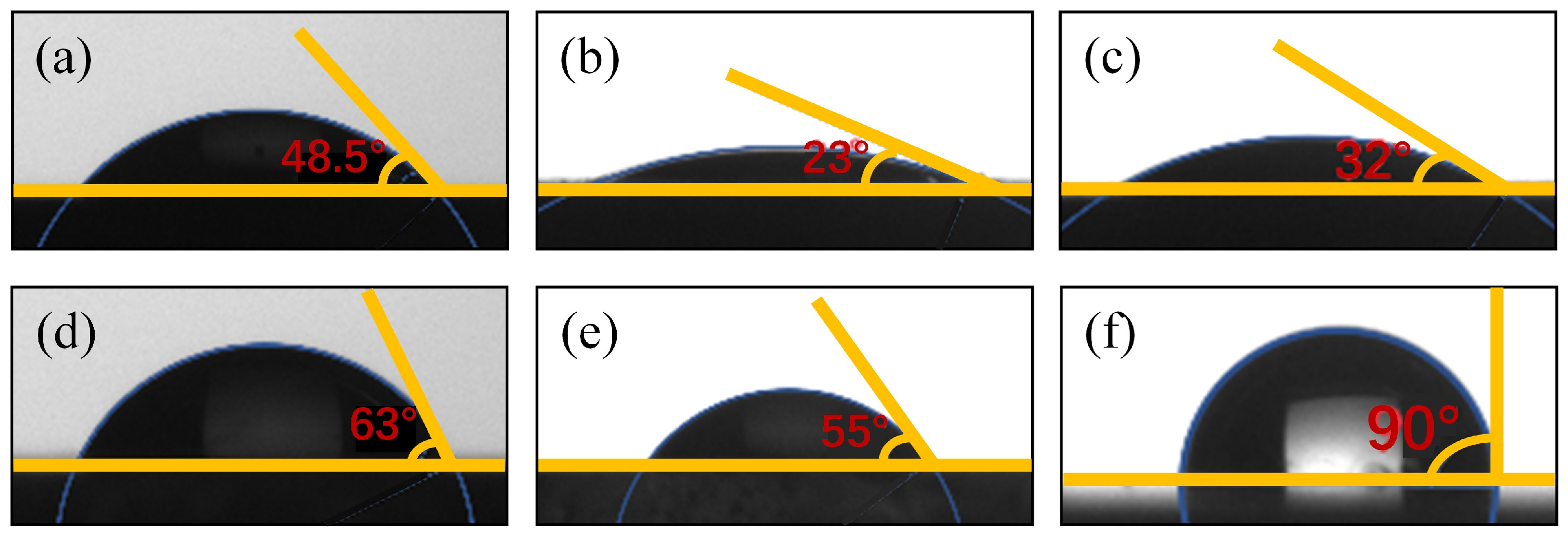 Molecules 29 04194 g006