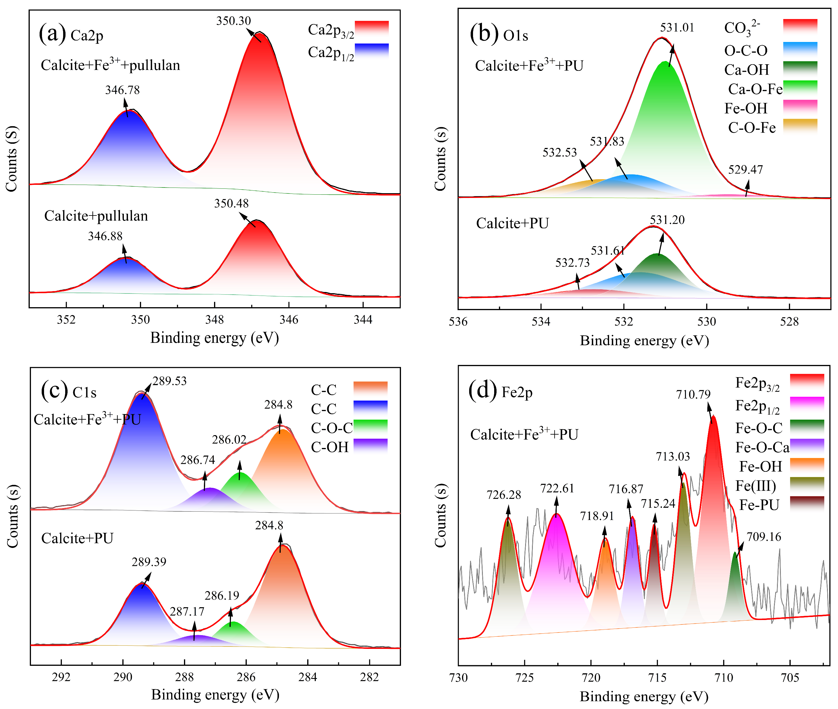 Molecules 29 04194 g010