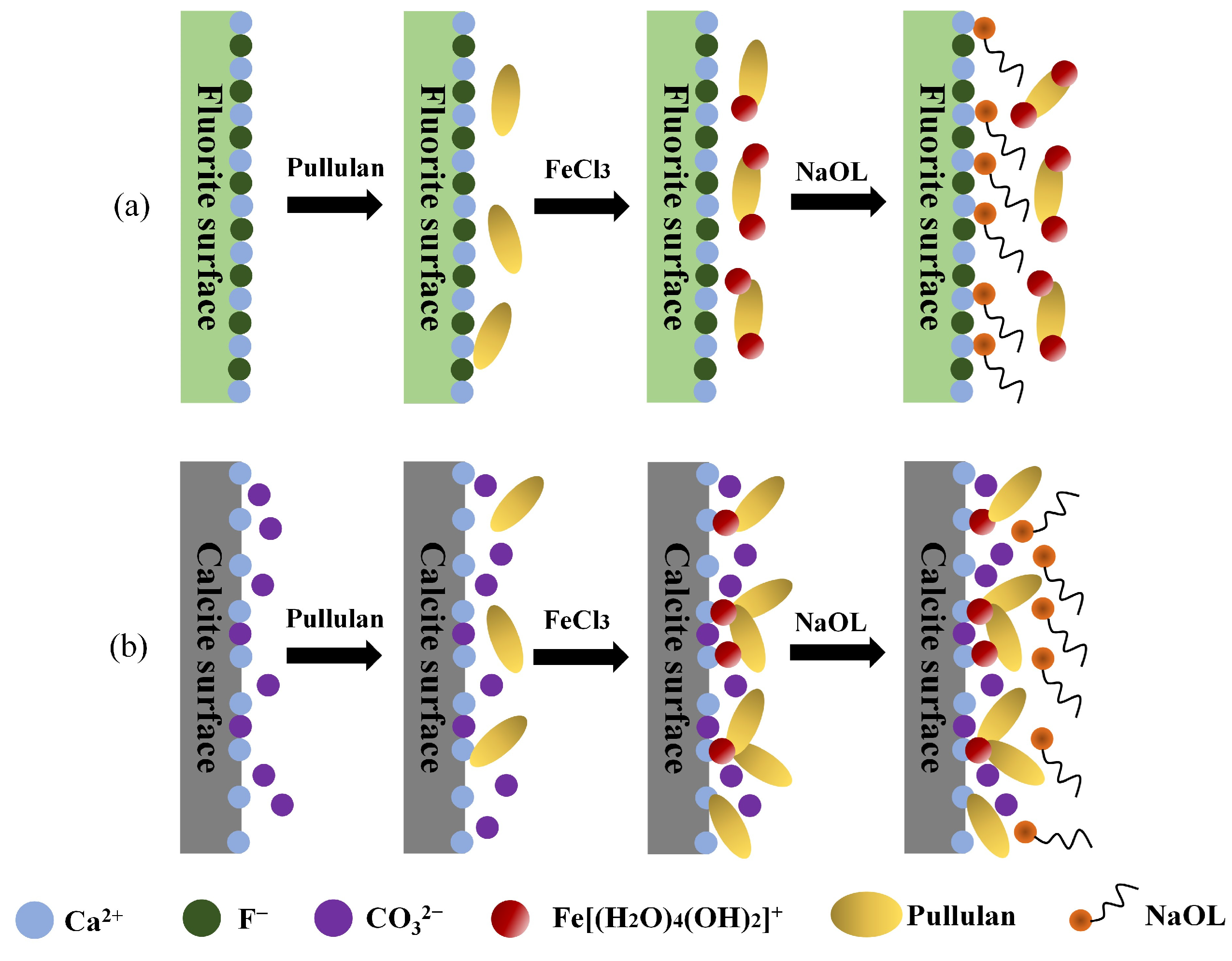Molecules 29 04194 g014