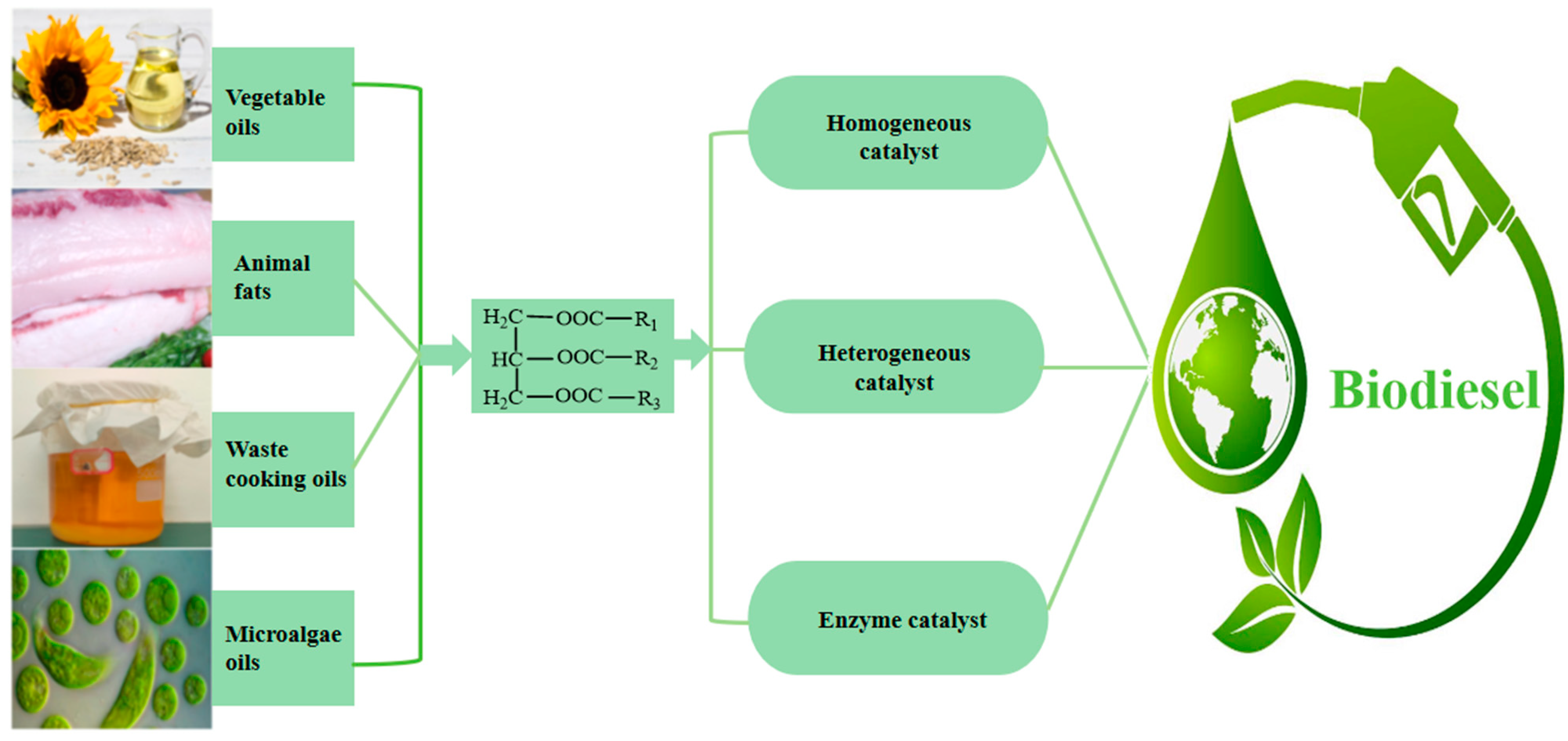 Molecules 29 04195 g001
