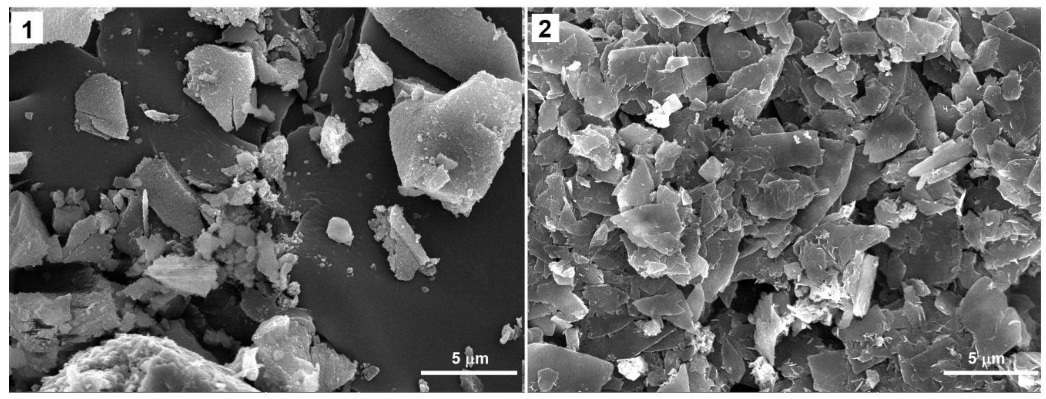 Molecules 29 04200 g010