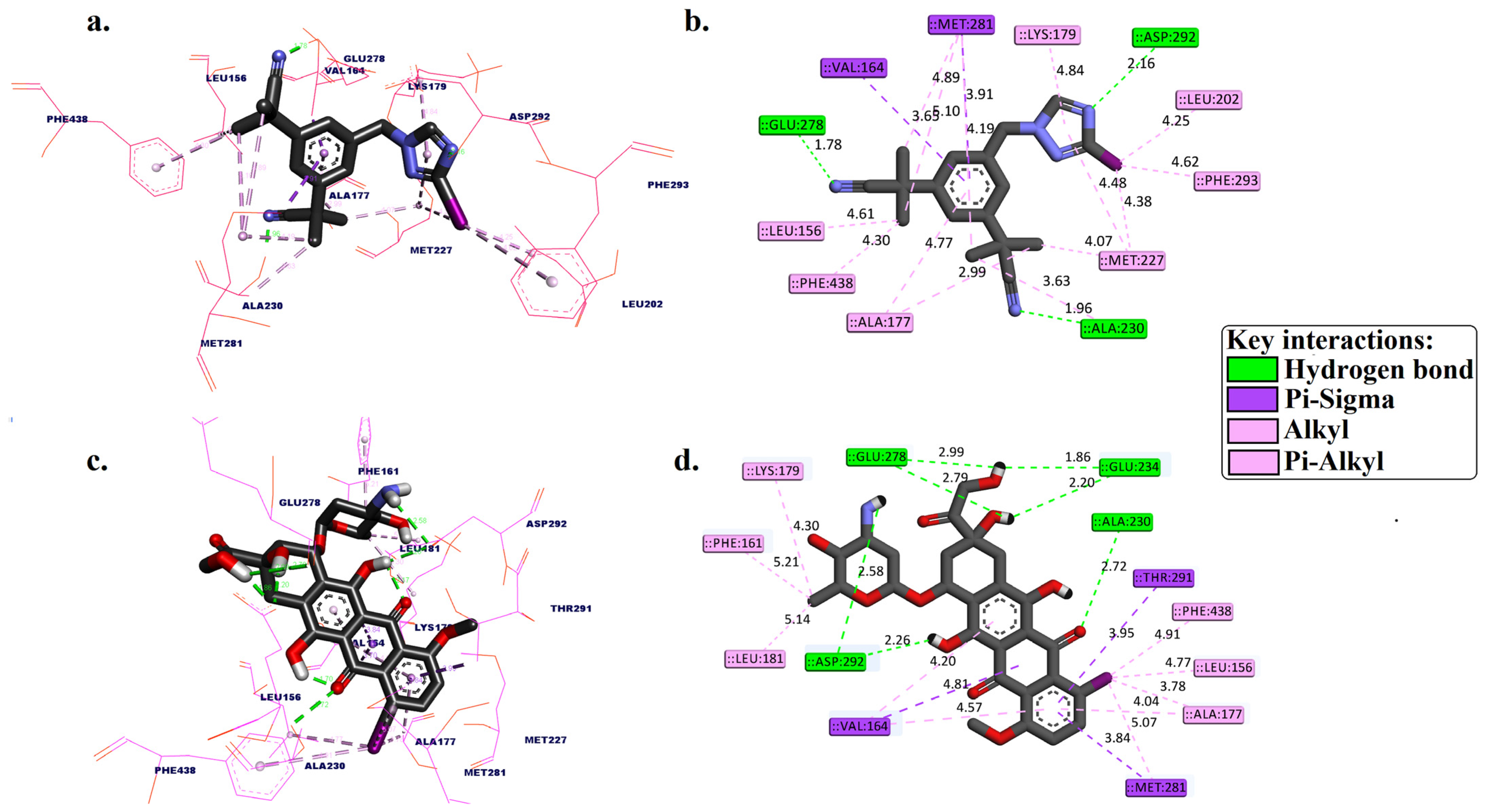 Molecules 29 04203 g002