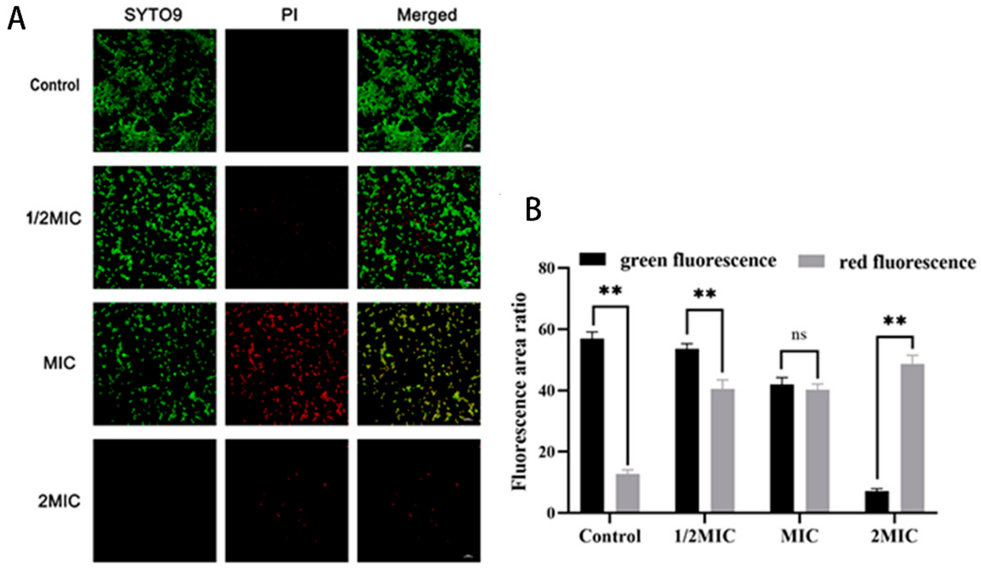 Molecules 29 04205 g002