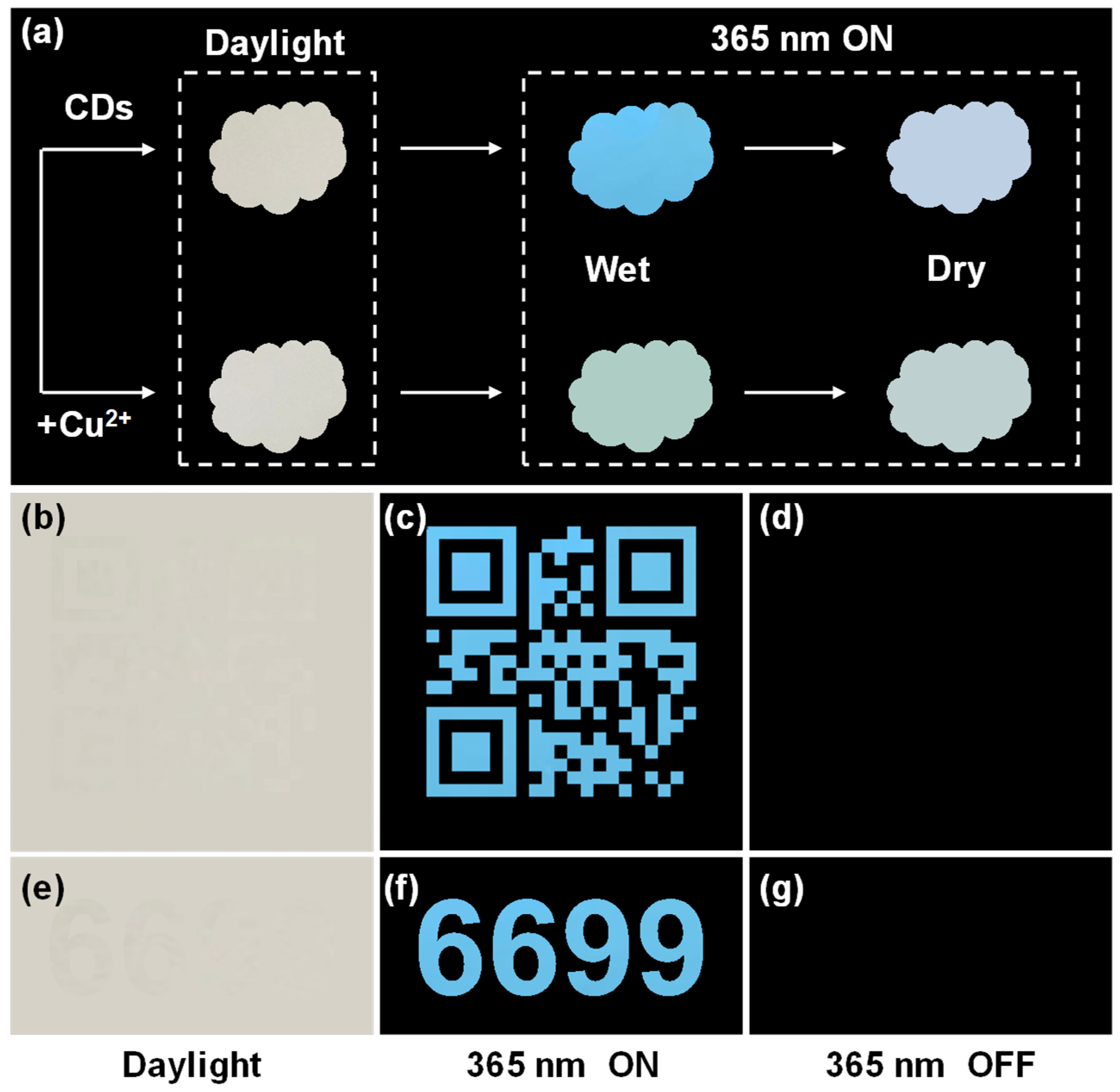 Molecules 29 04211 g007