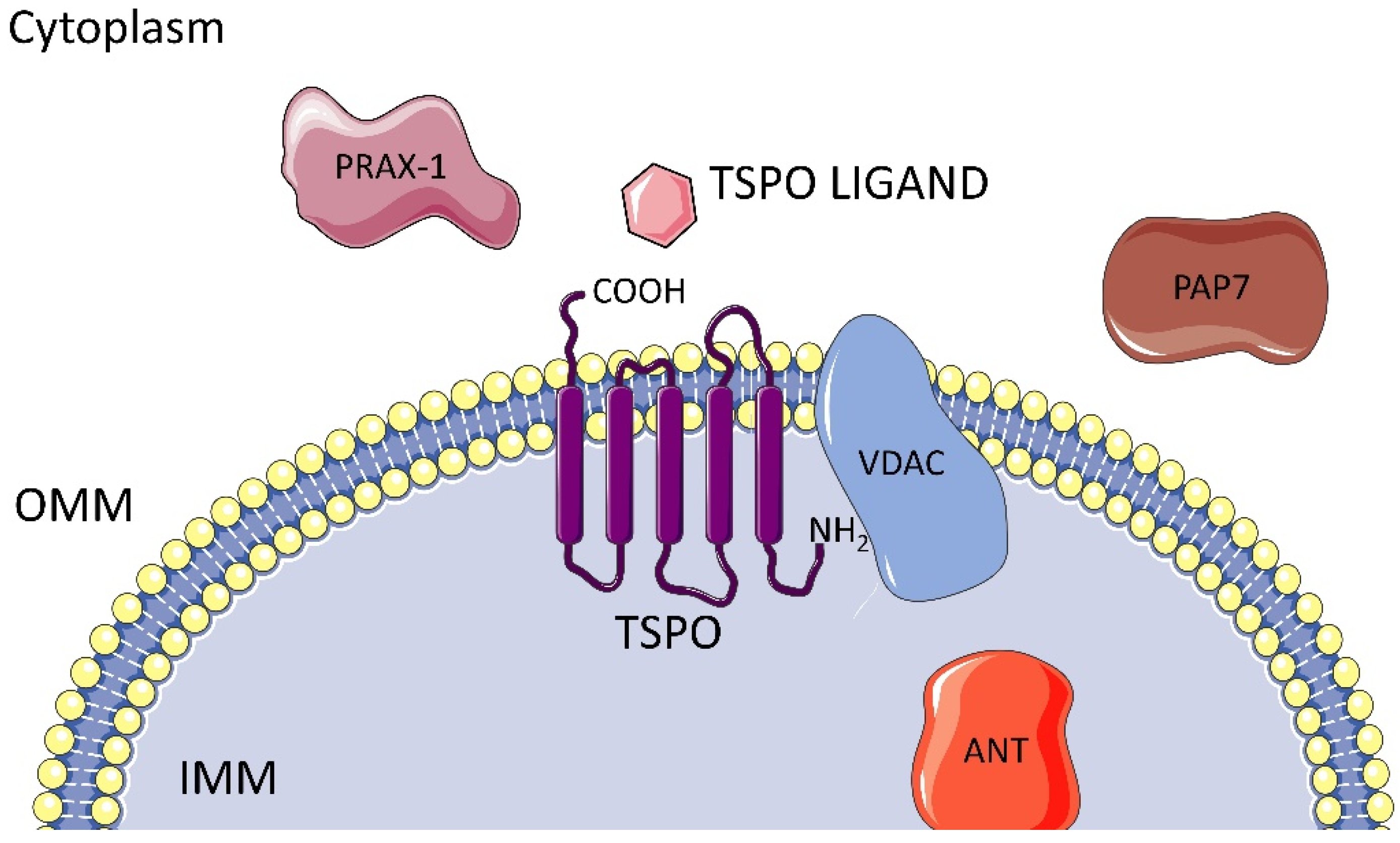Molecules 29 04212 g001