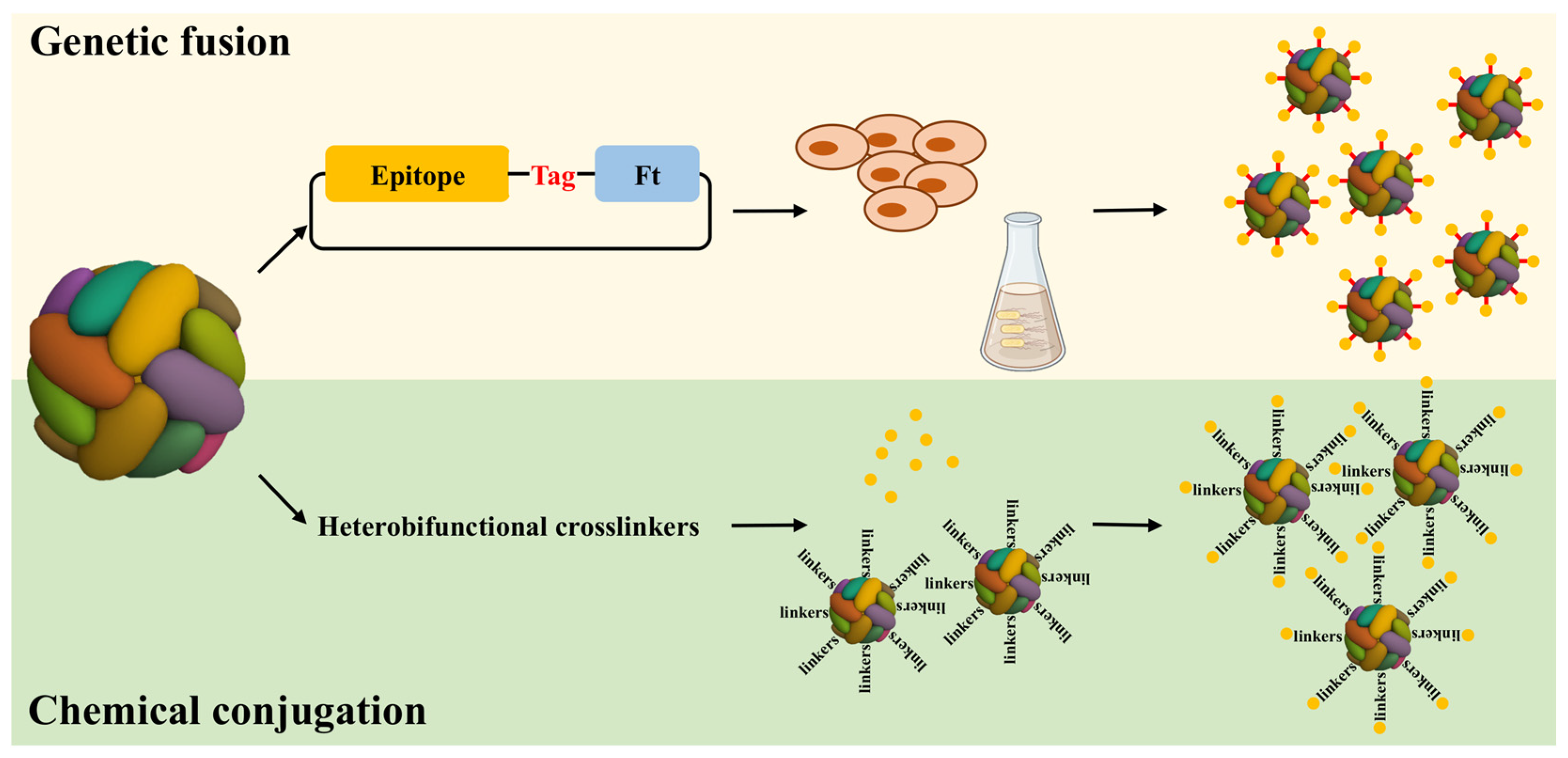 Molecules 29 04221 g001