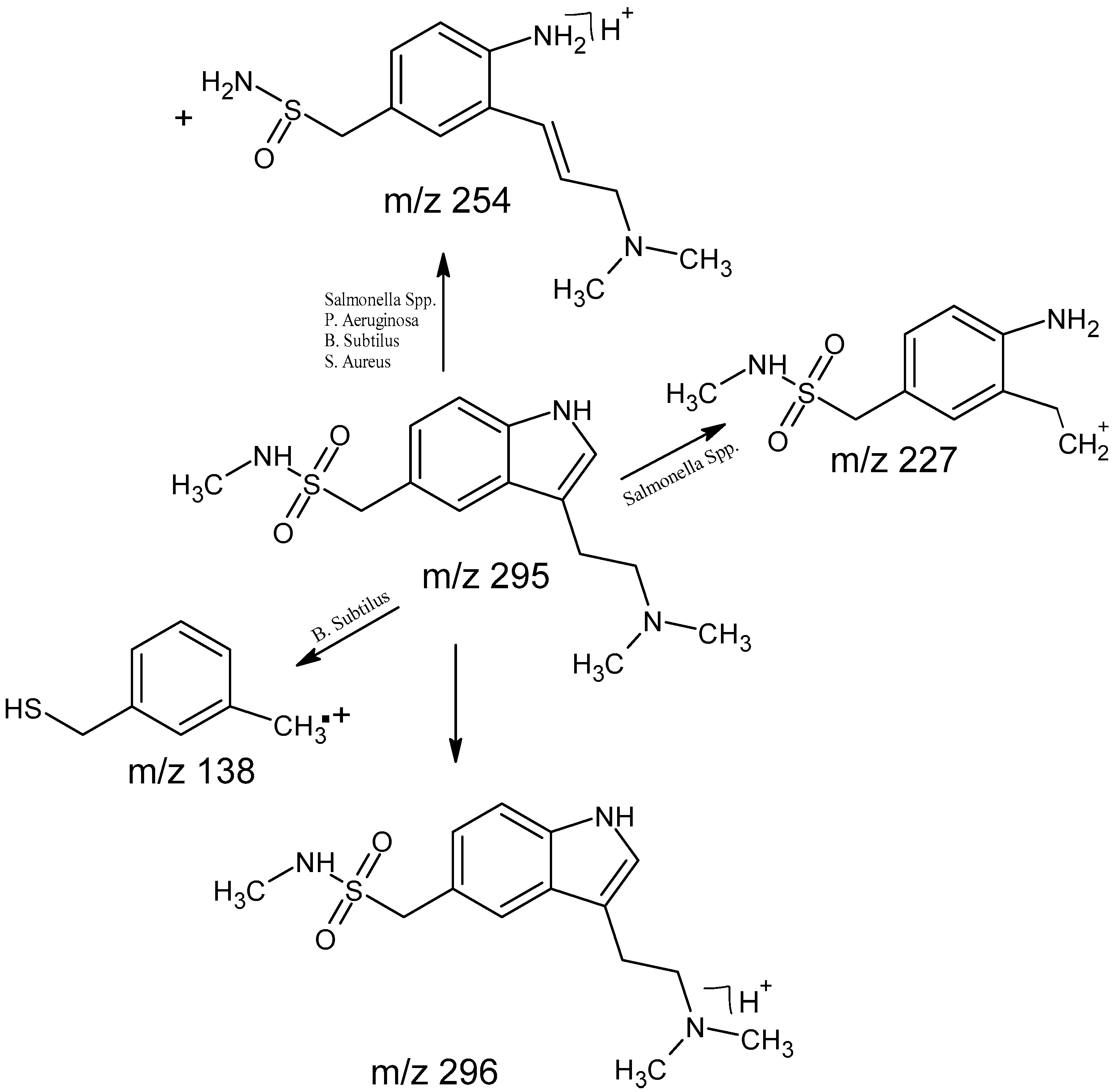 Molecules 29 04226 sch001