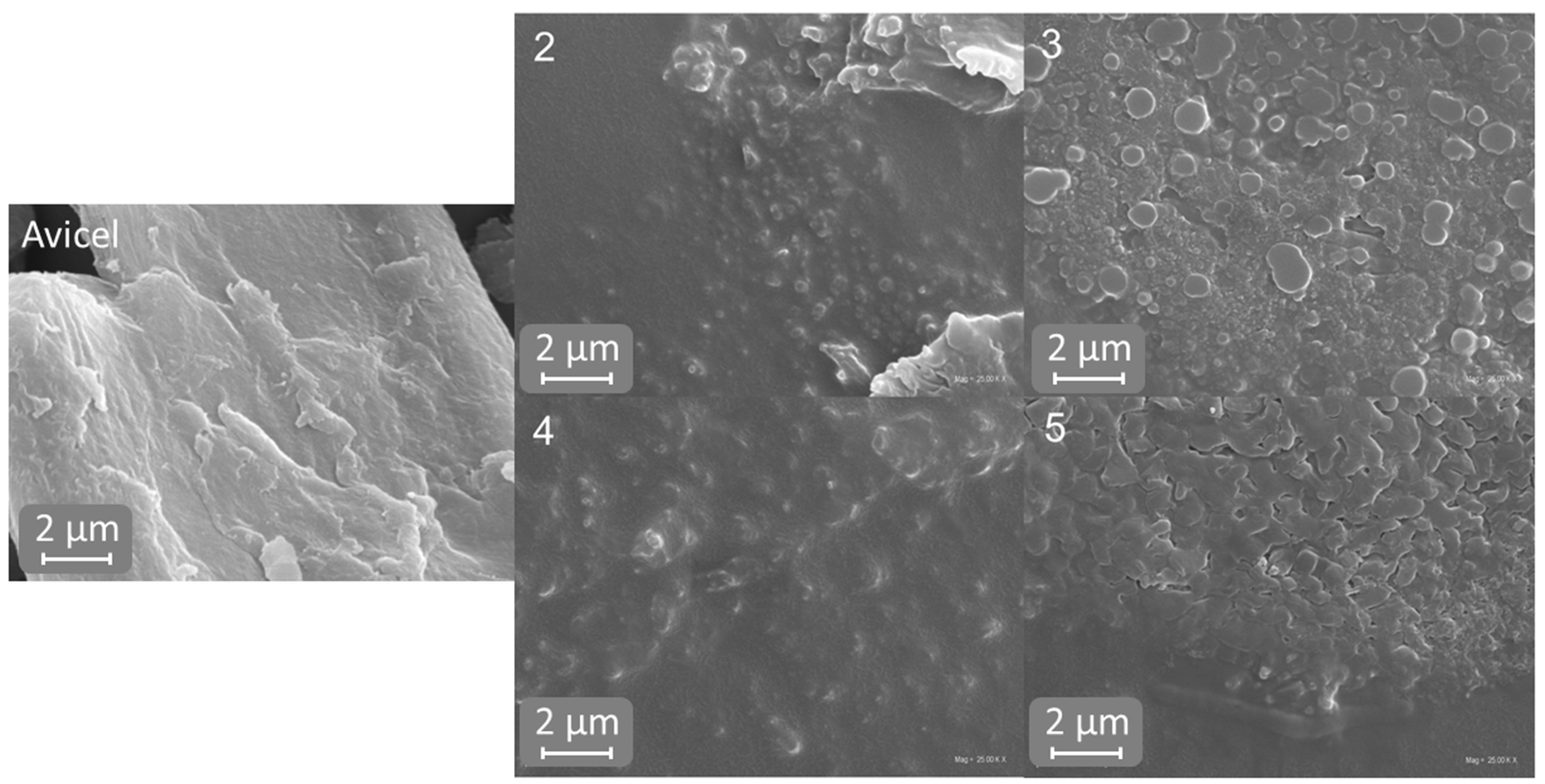 Molecules 29 04227 g004