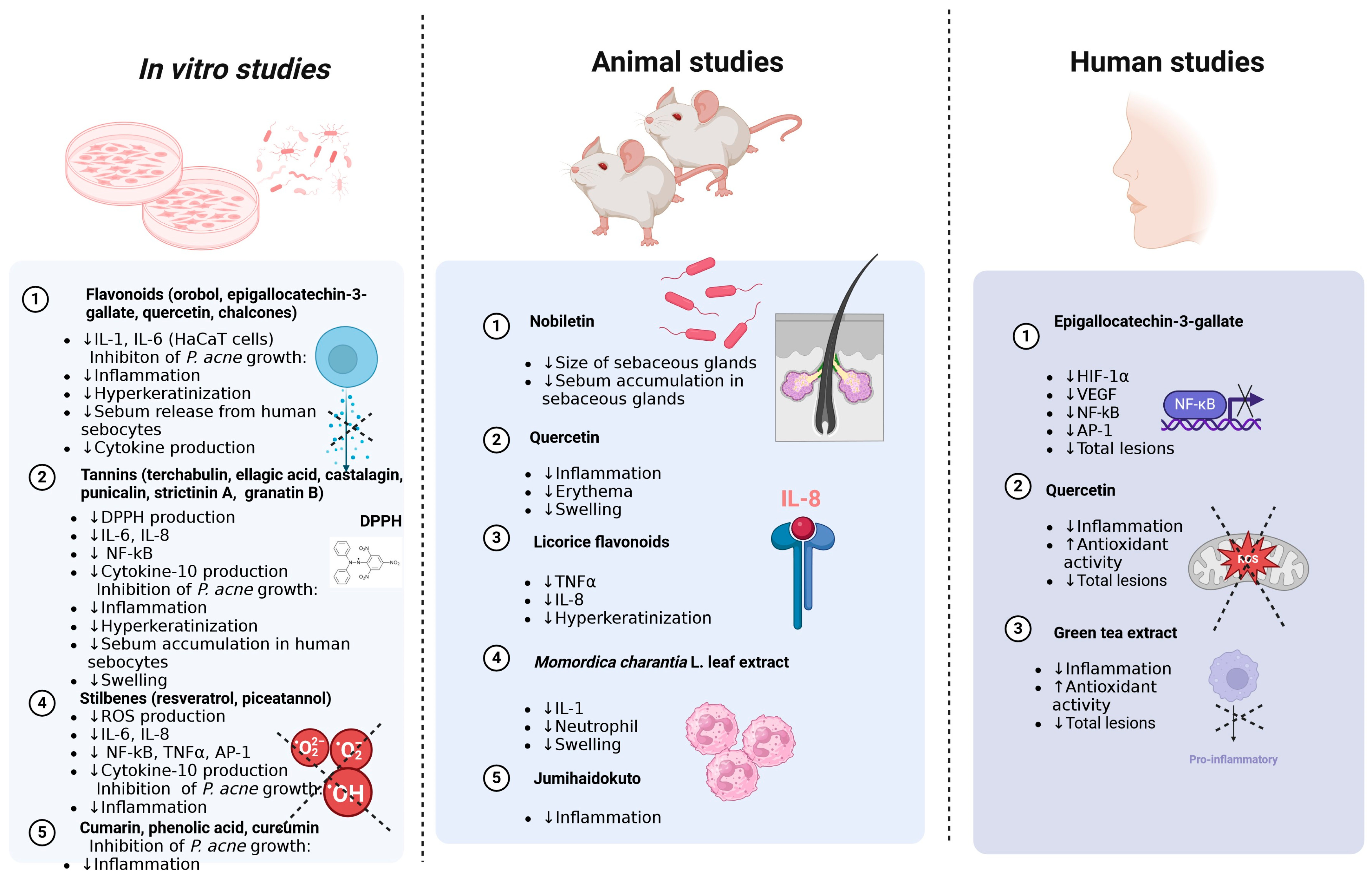 Molecules 29 04234 g001