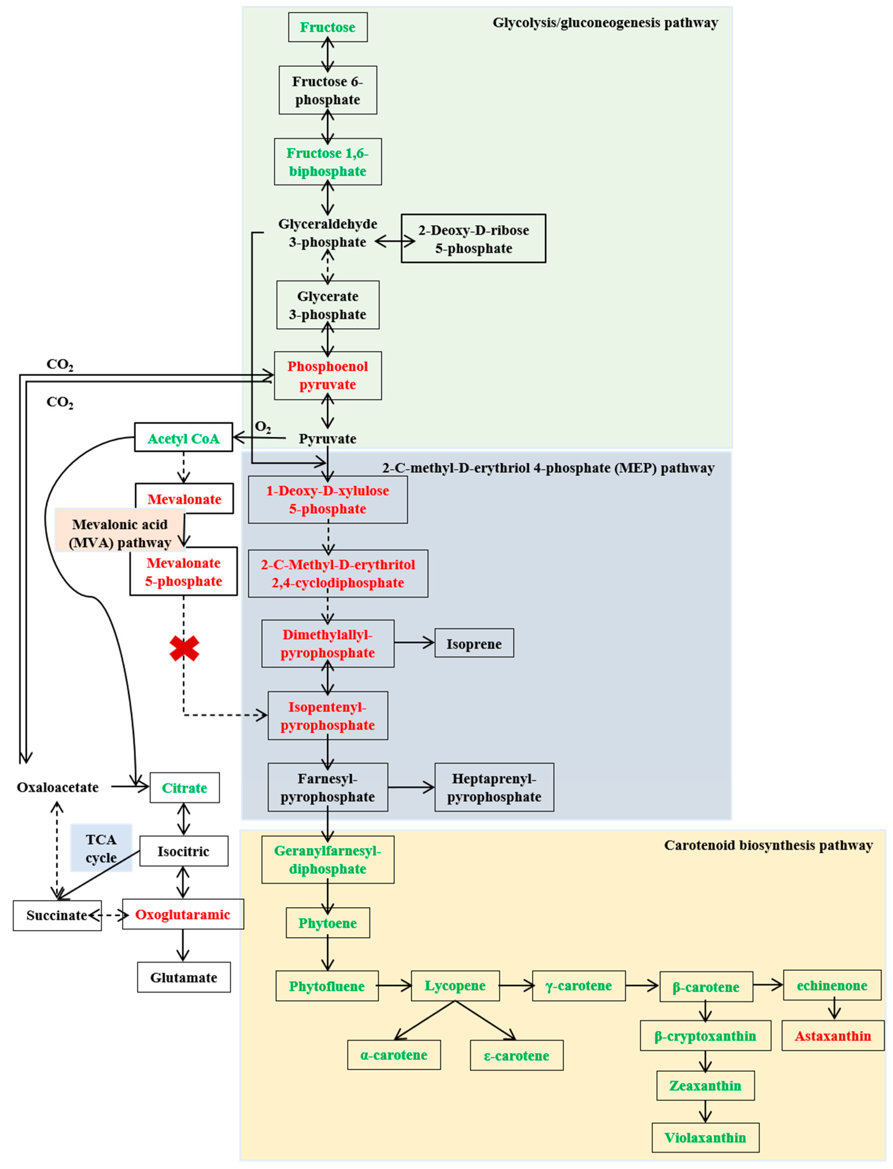 Molecules 29 04235 g004 Molecules 29 04235 g004