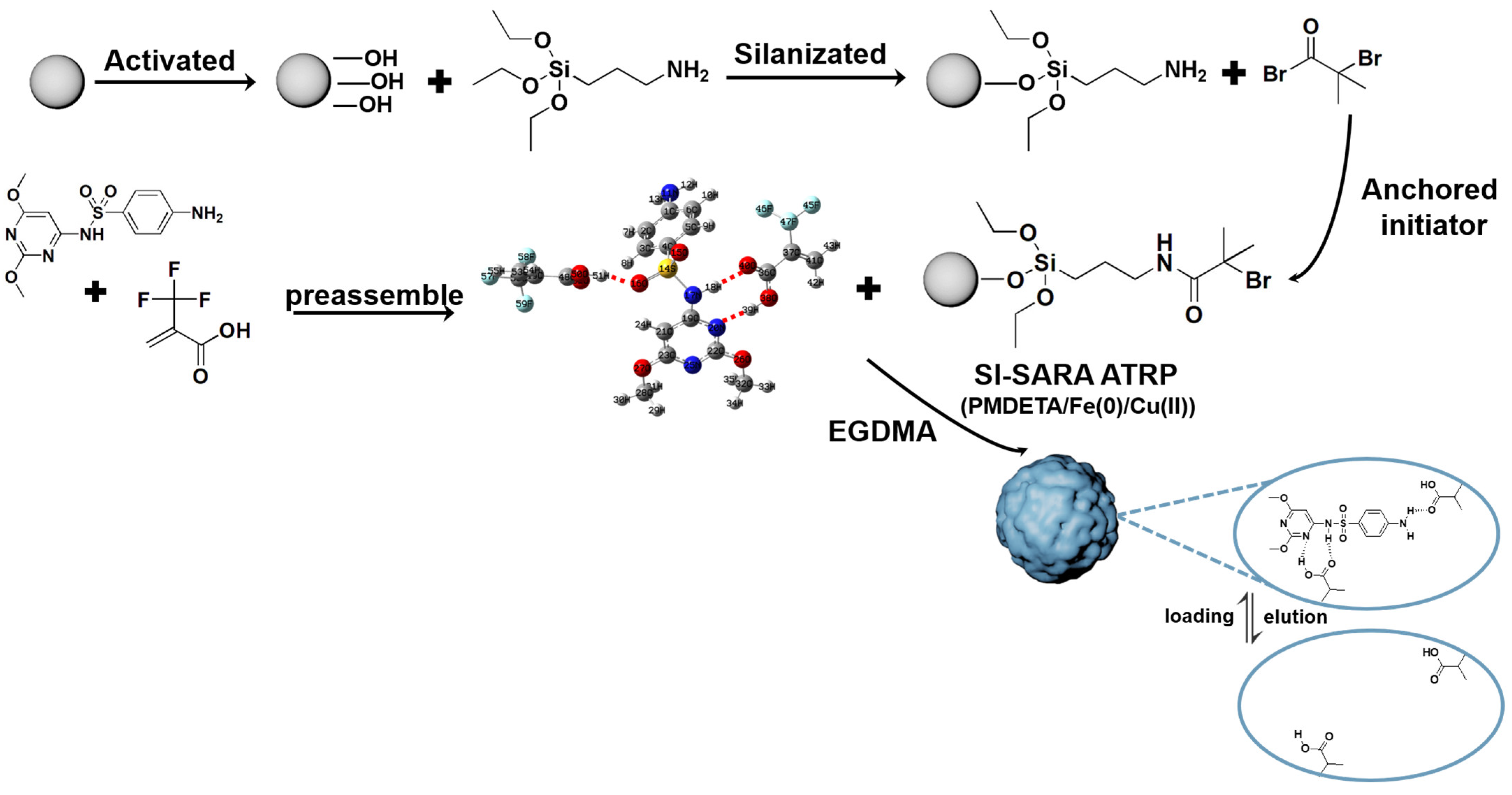 Molecules 29 04236 g011